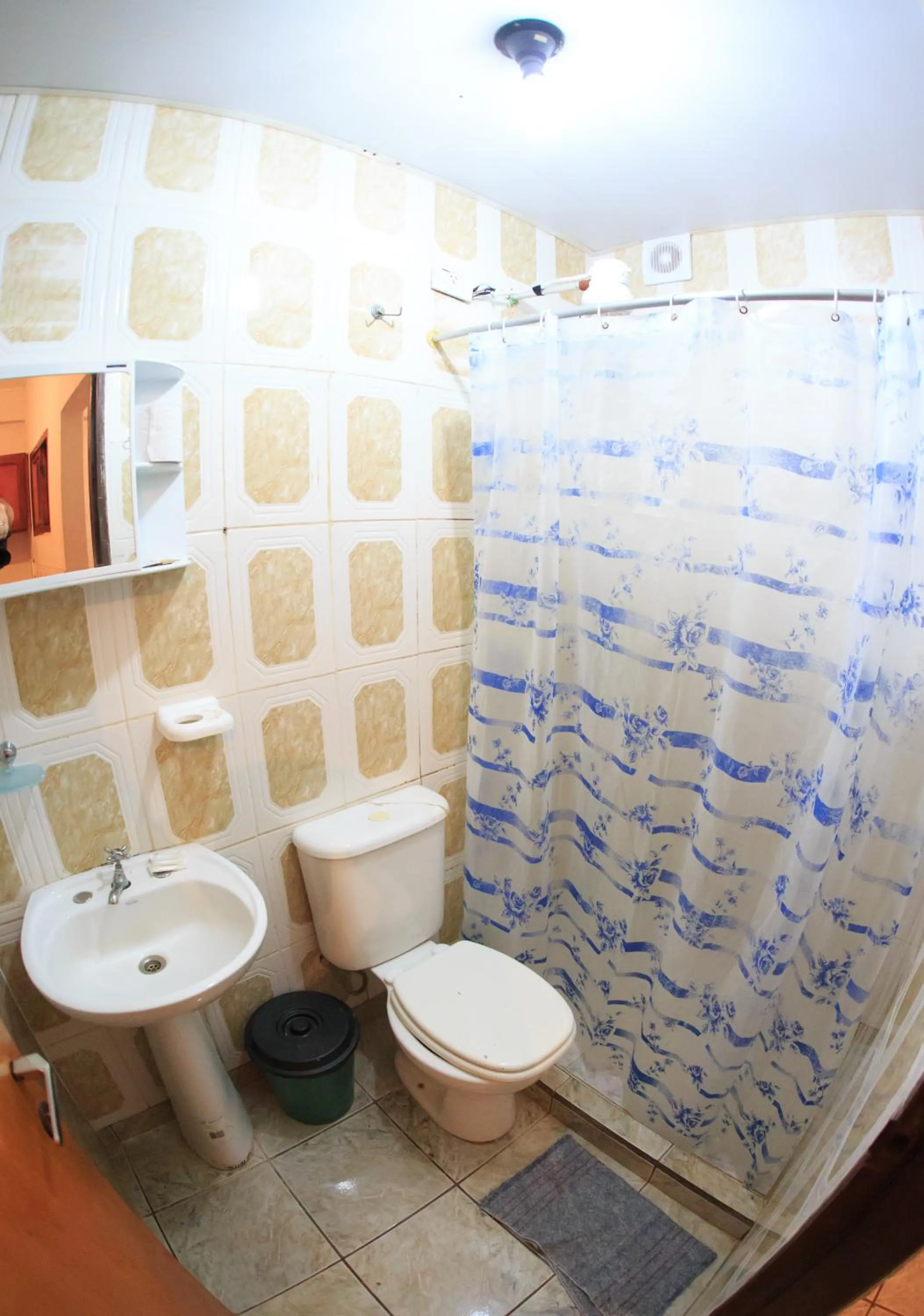 Bathroom in Lo de Carmen Apart