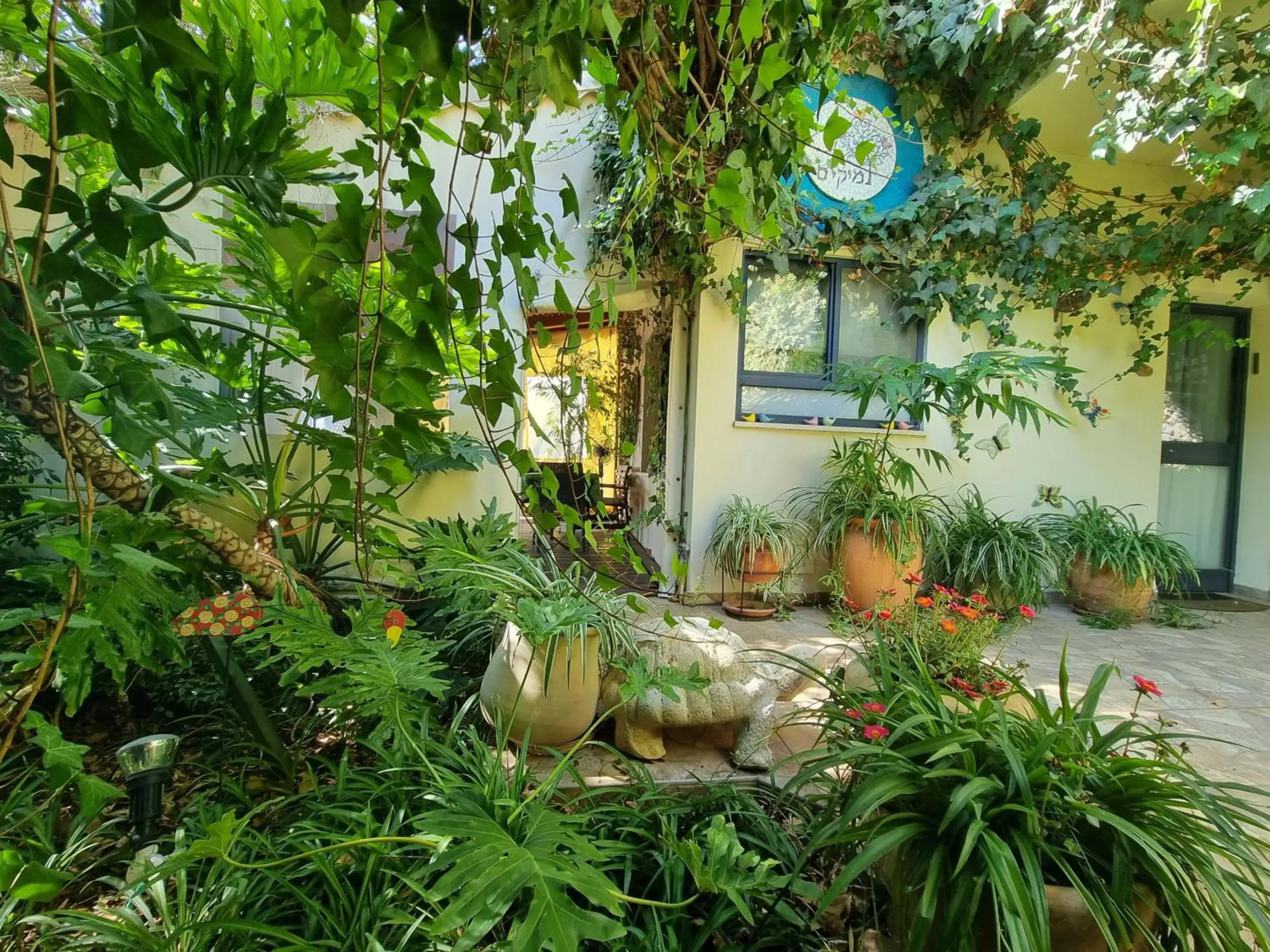 Property Building in Miki's Rosh Pinna Property Building in Miki's Rosh Pinna