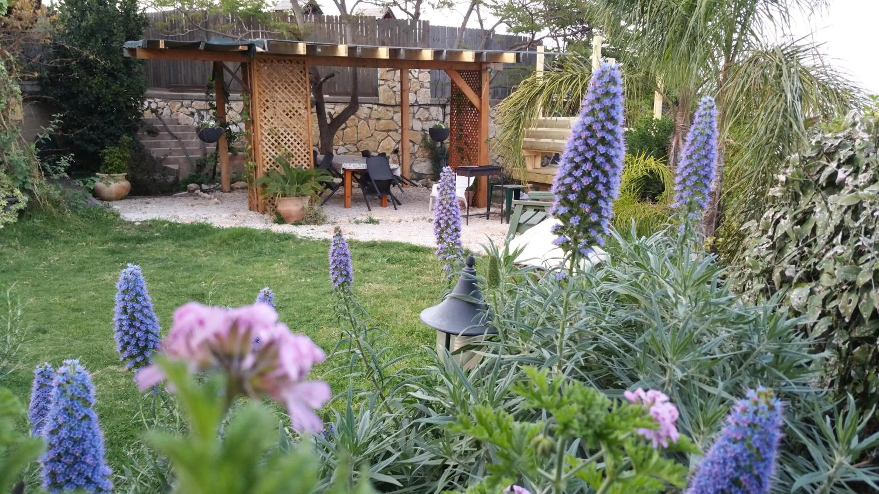 Garden in Miki's Rosh Pinna