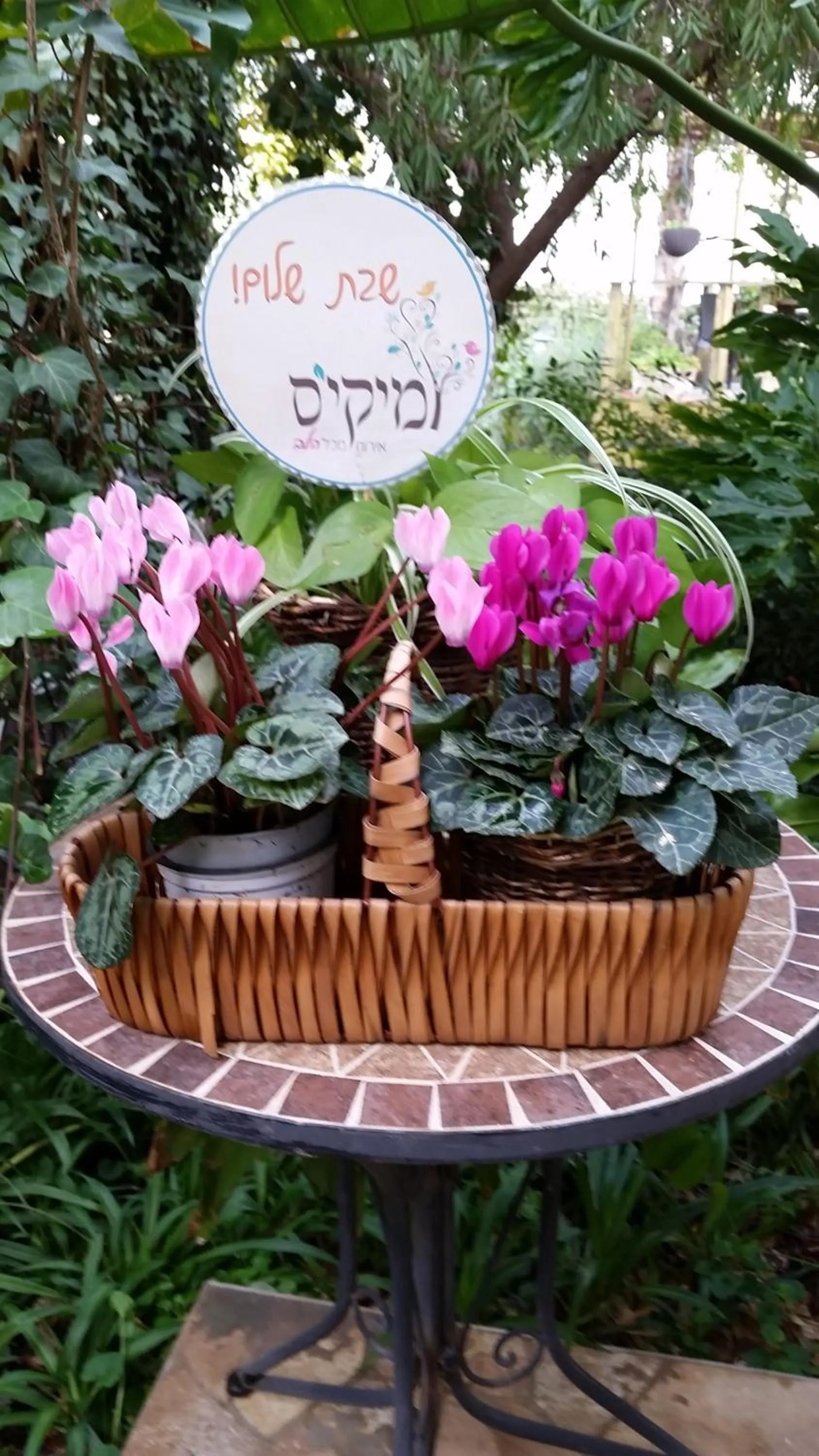 Garden in Miki's Rosh Pinna