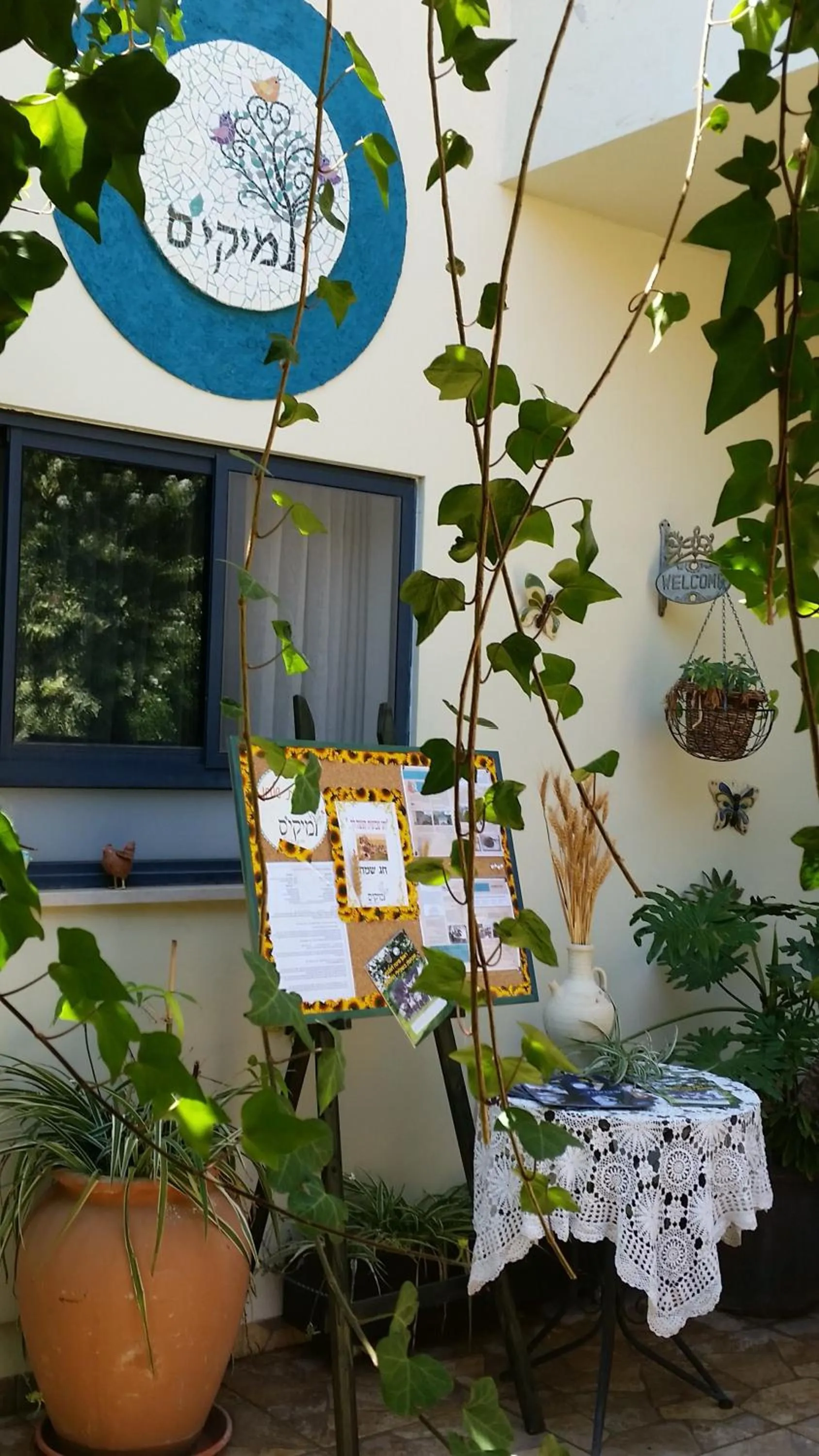 On site in Miki's Rosh Pinna