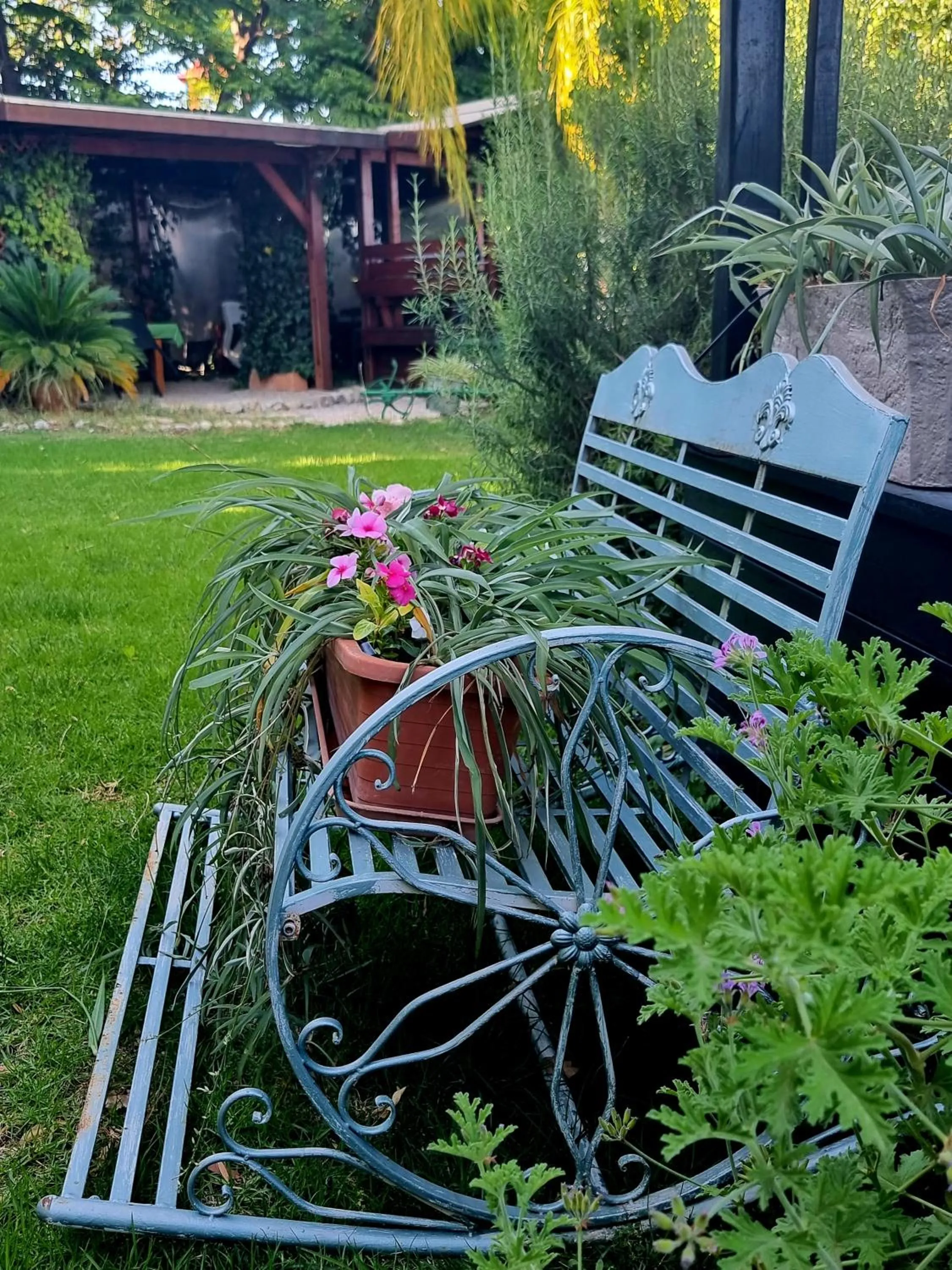 Garden in Miki's Rosh Pinna