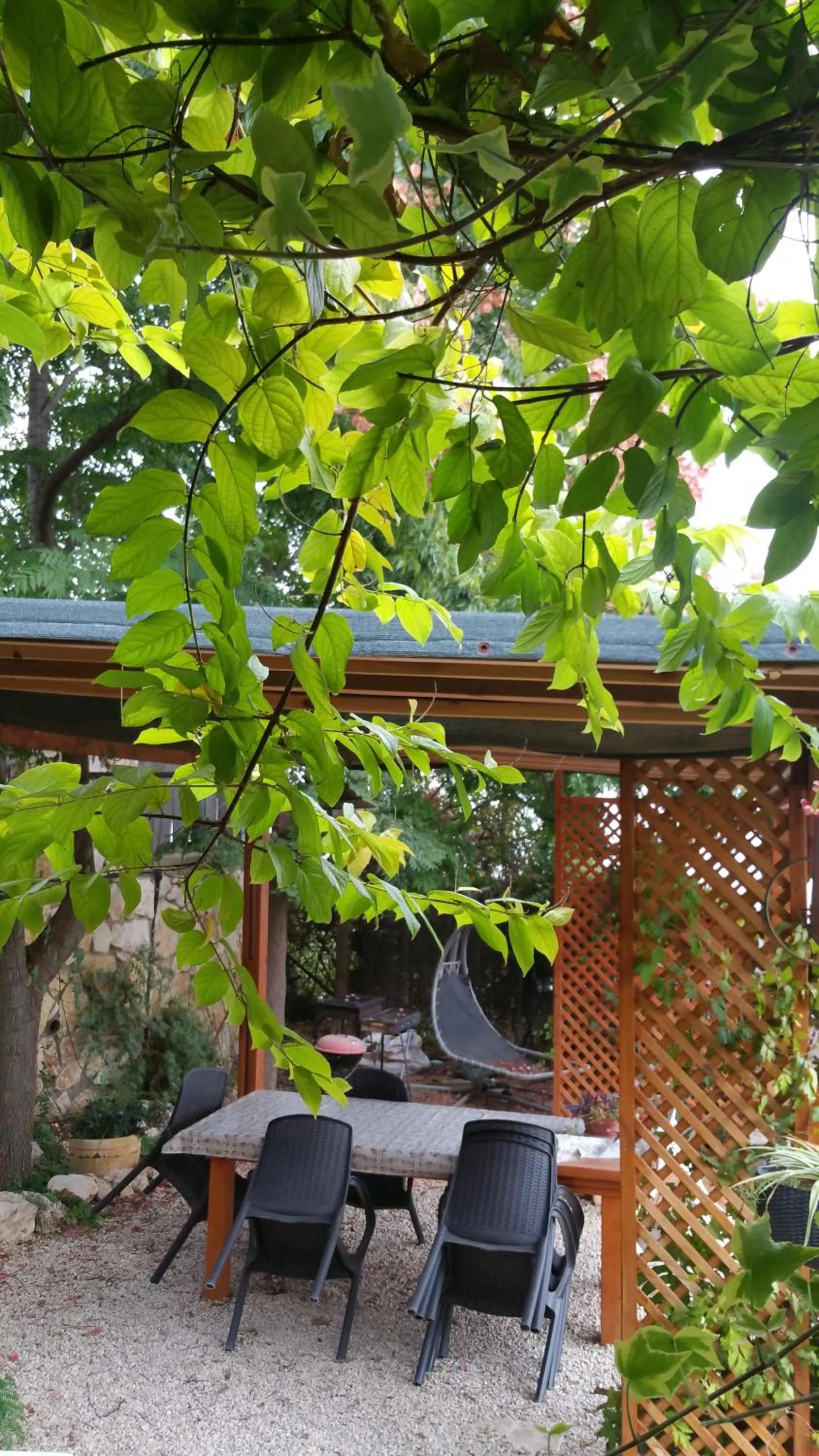 BBQ facilities in Miki's Rosh Pinna