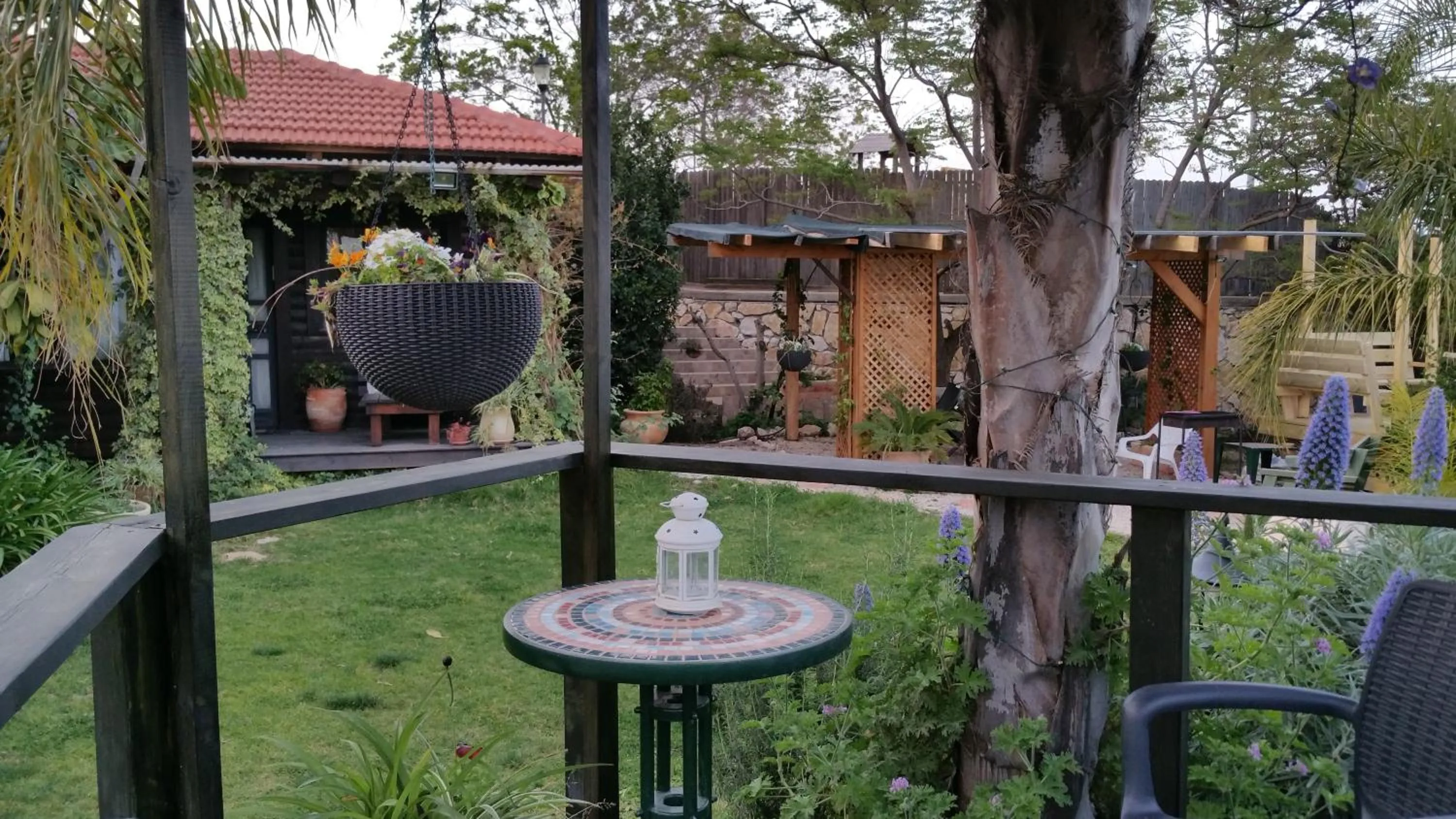 Garden view in Miki's Rosh Pinna