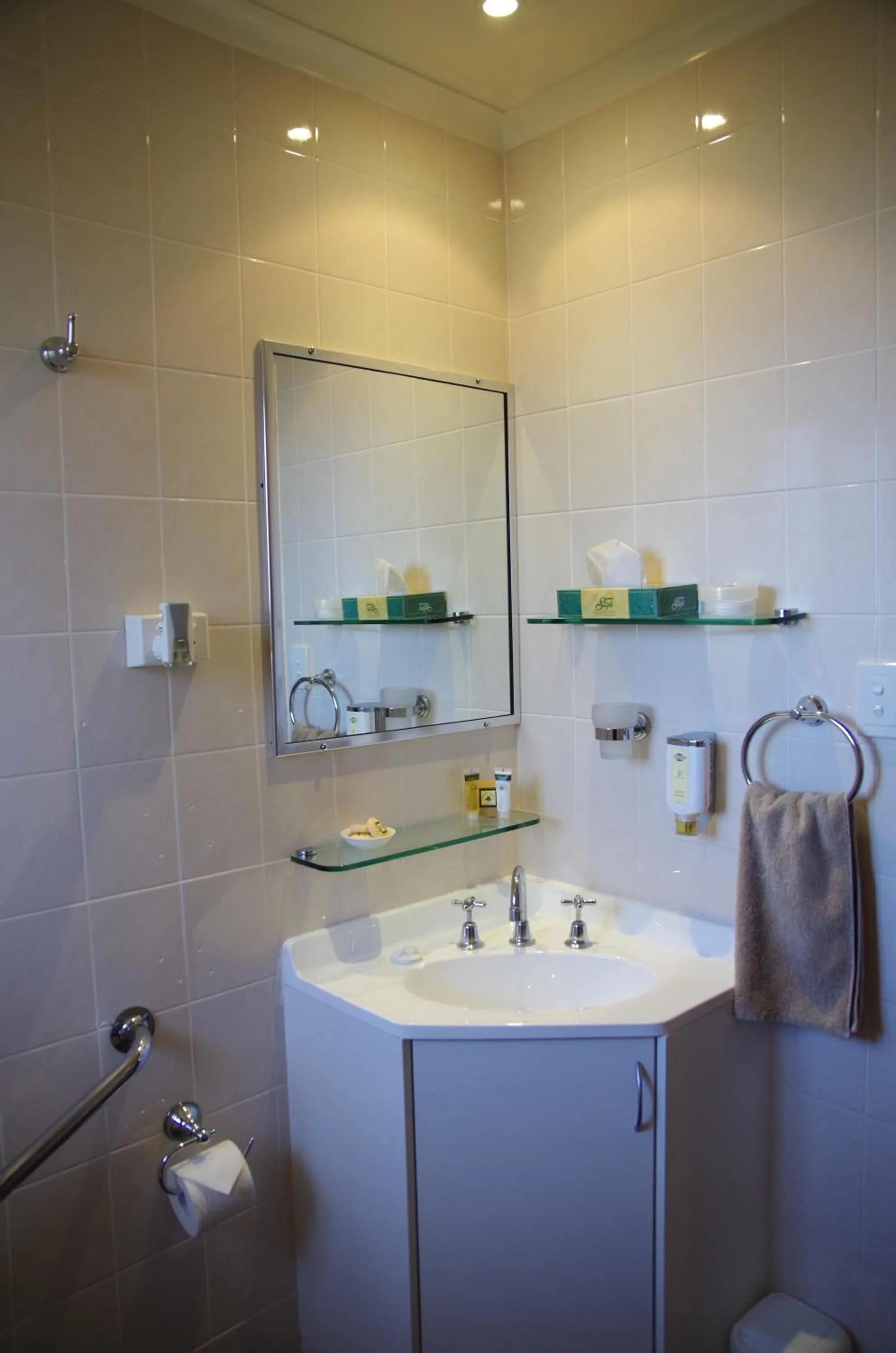 Bathroom in Stannum Lodge Motor Inn