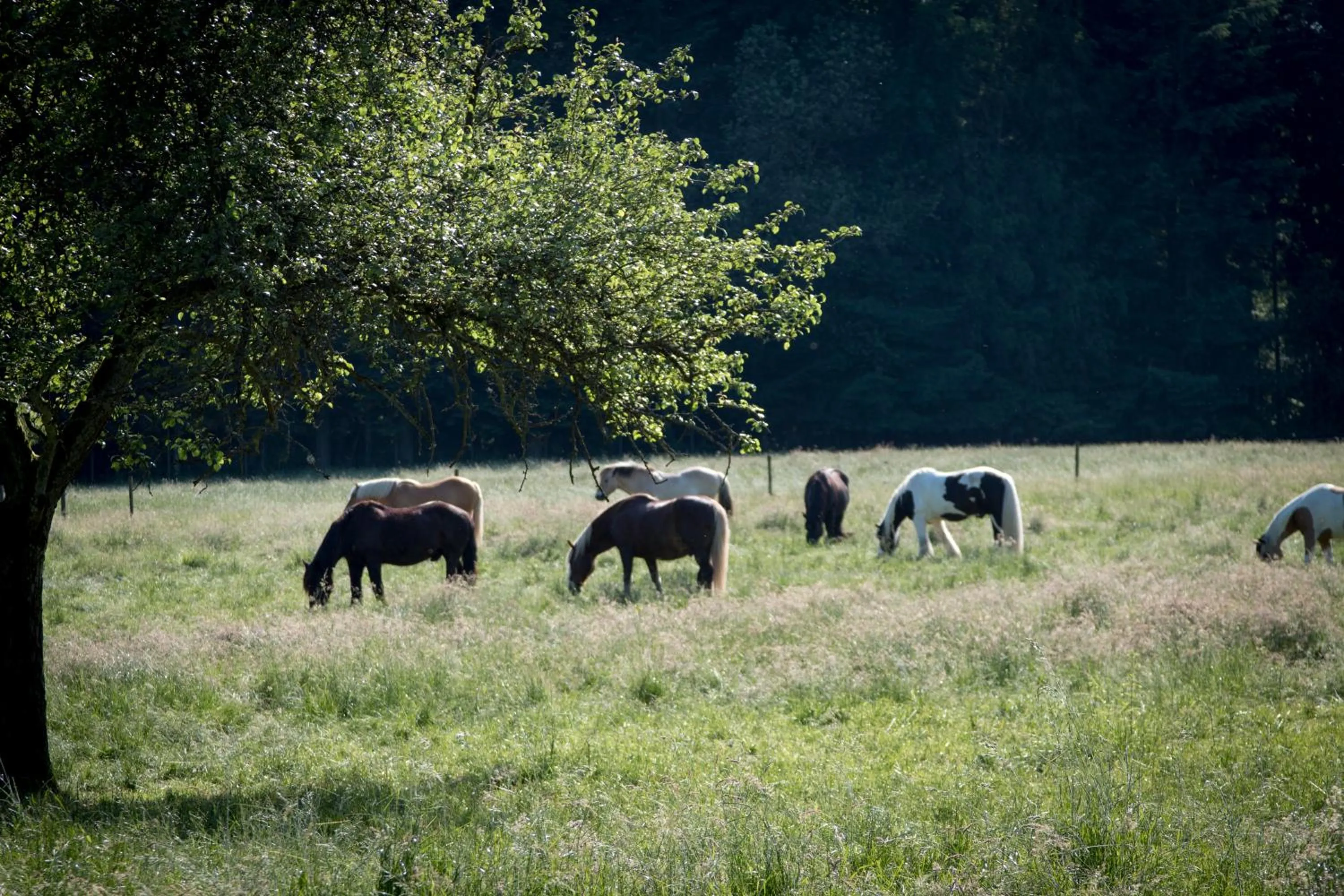 Property building in Hotel Bremerhof