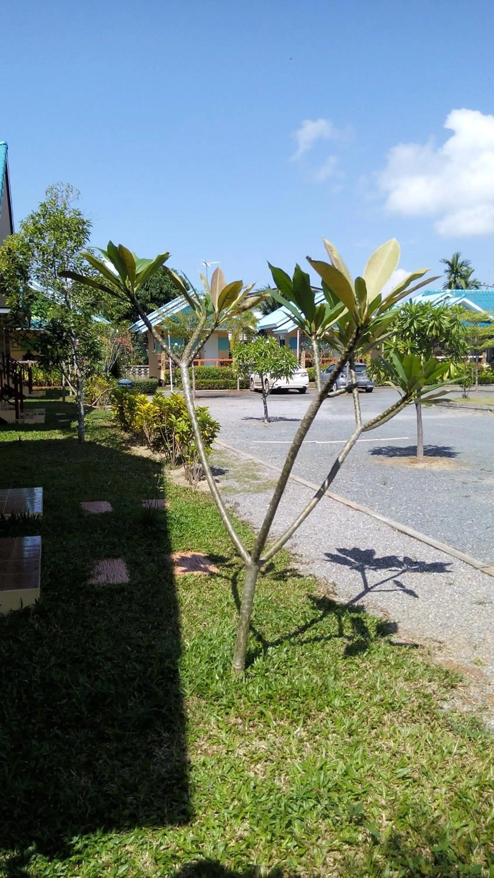 Area and facilities in Sangtong Beach Resort