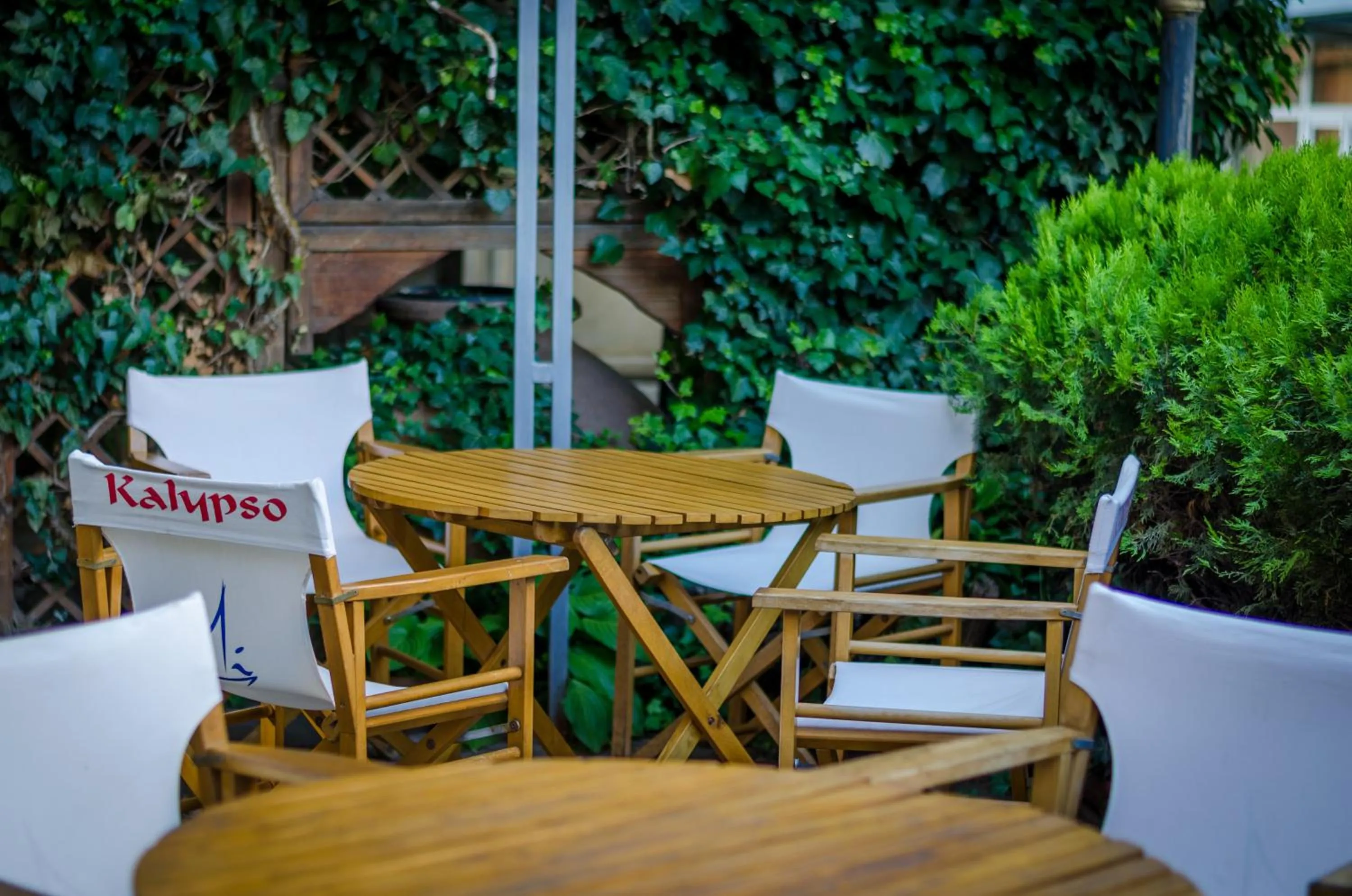 Restaurant/places to eat in Kalypso Hotel