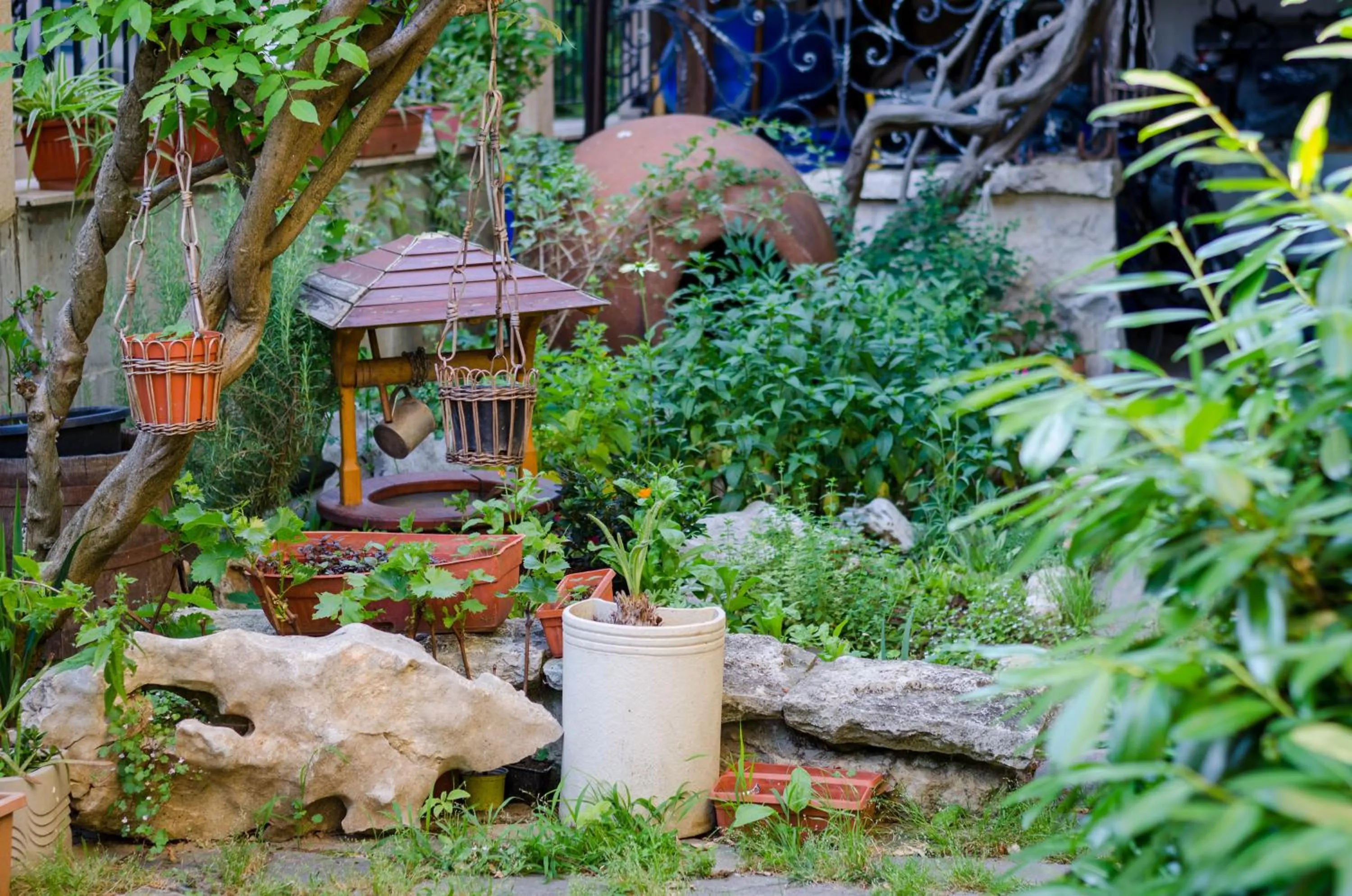 Garden view in Kalypso Hotel