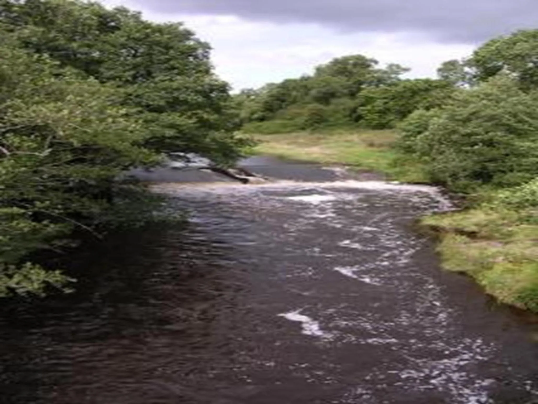 Natural landscape in Rockfoot B&B