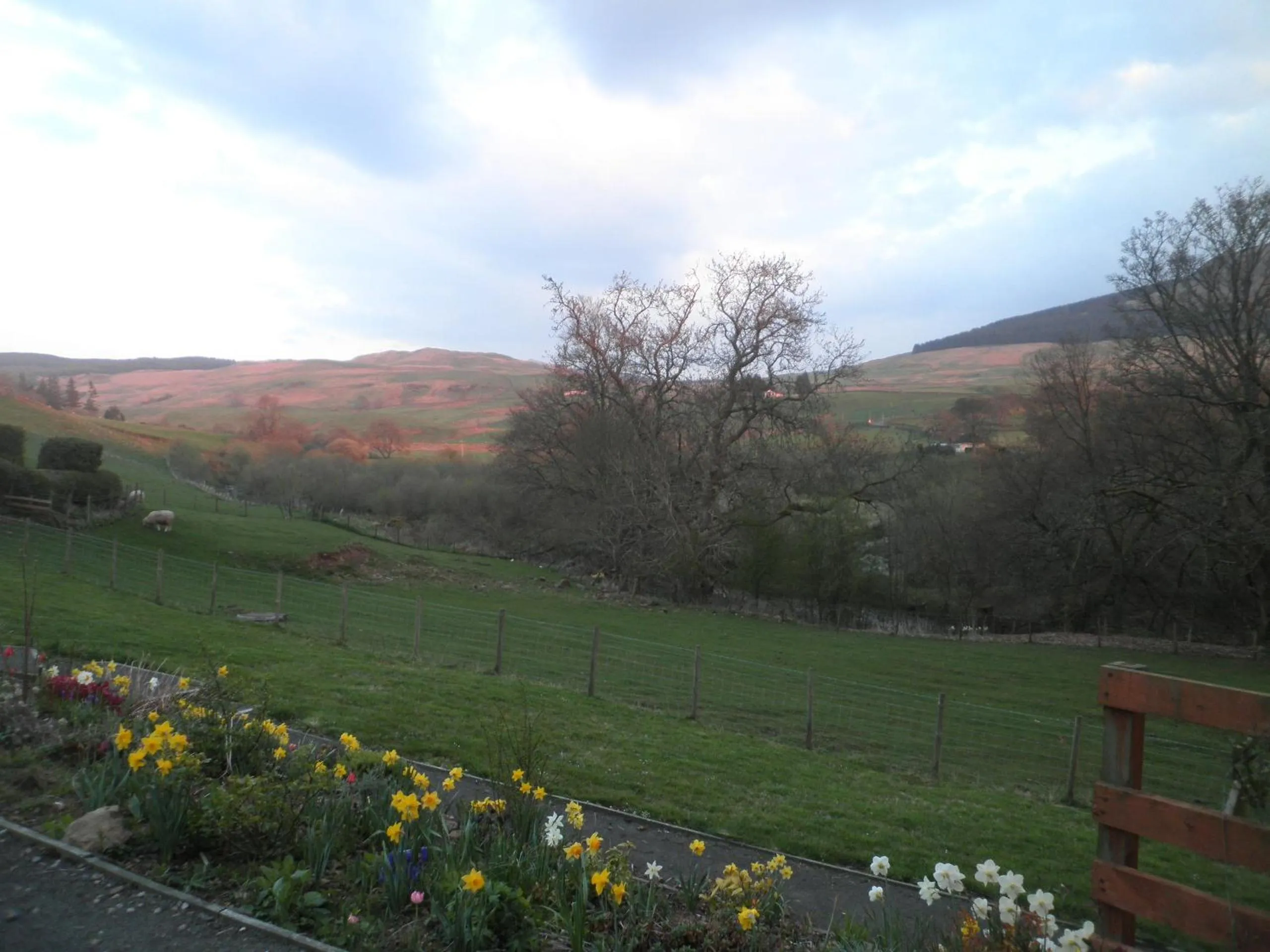 Natural landscape in Rockfoot B&B