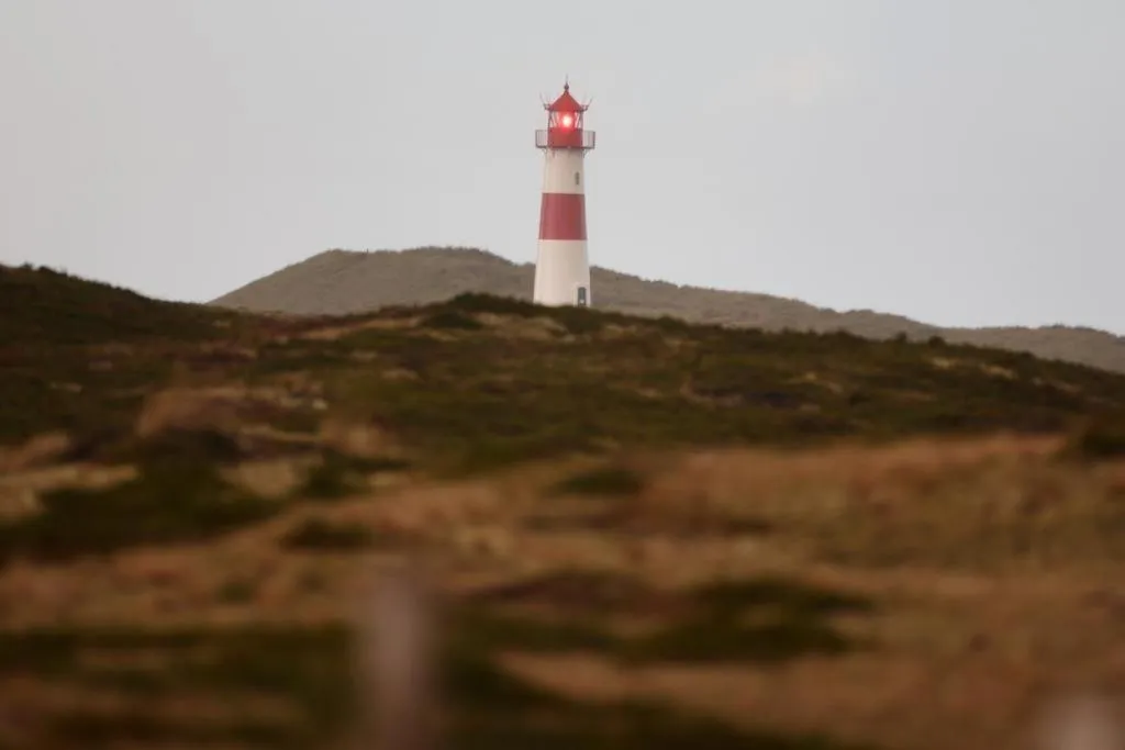 Natural landscape in Boutiquehotel Seiler Hof Keitum