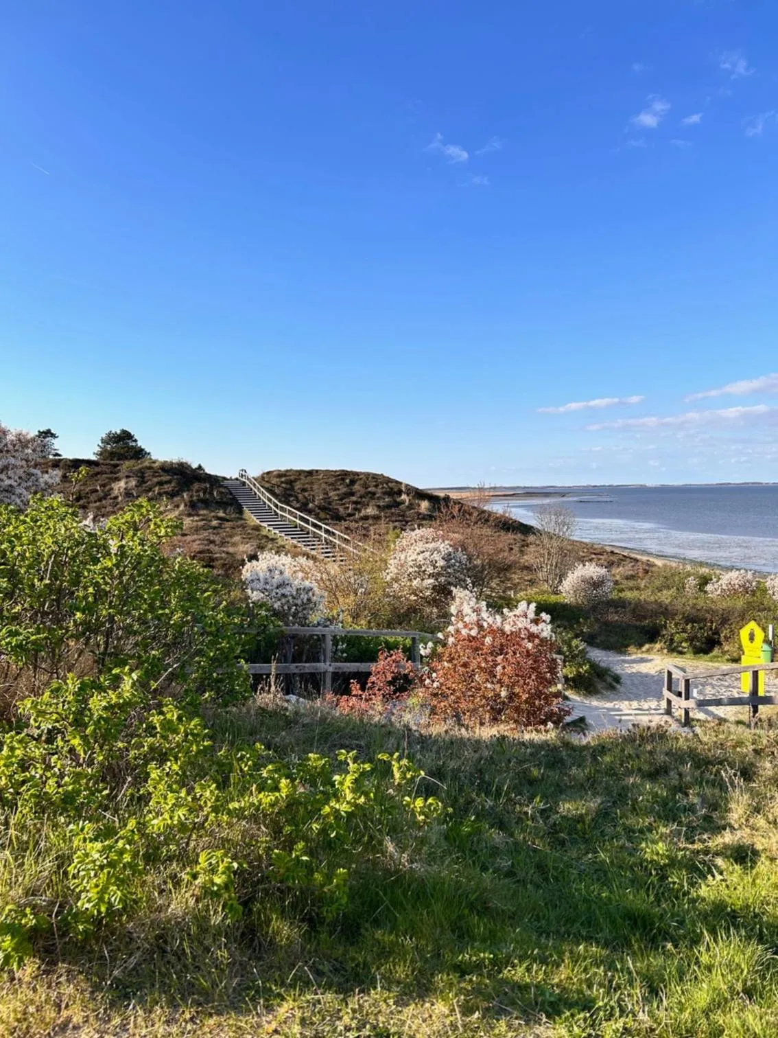 Area and facilities in Boutiquehotel Seiler Hof Keitum