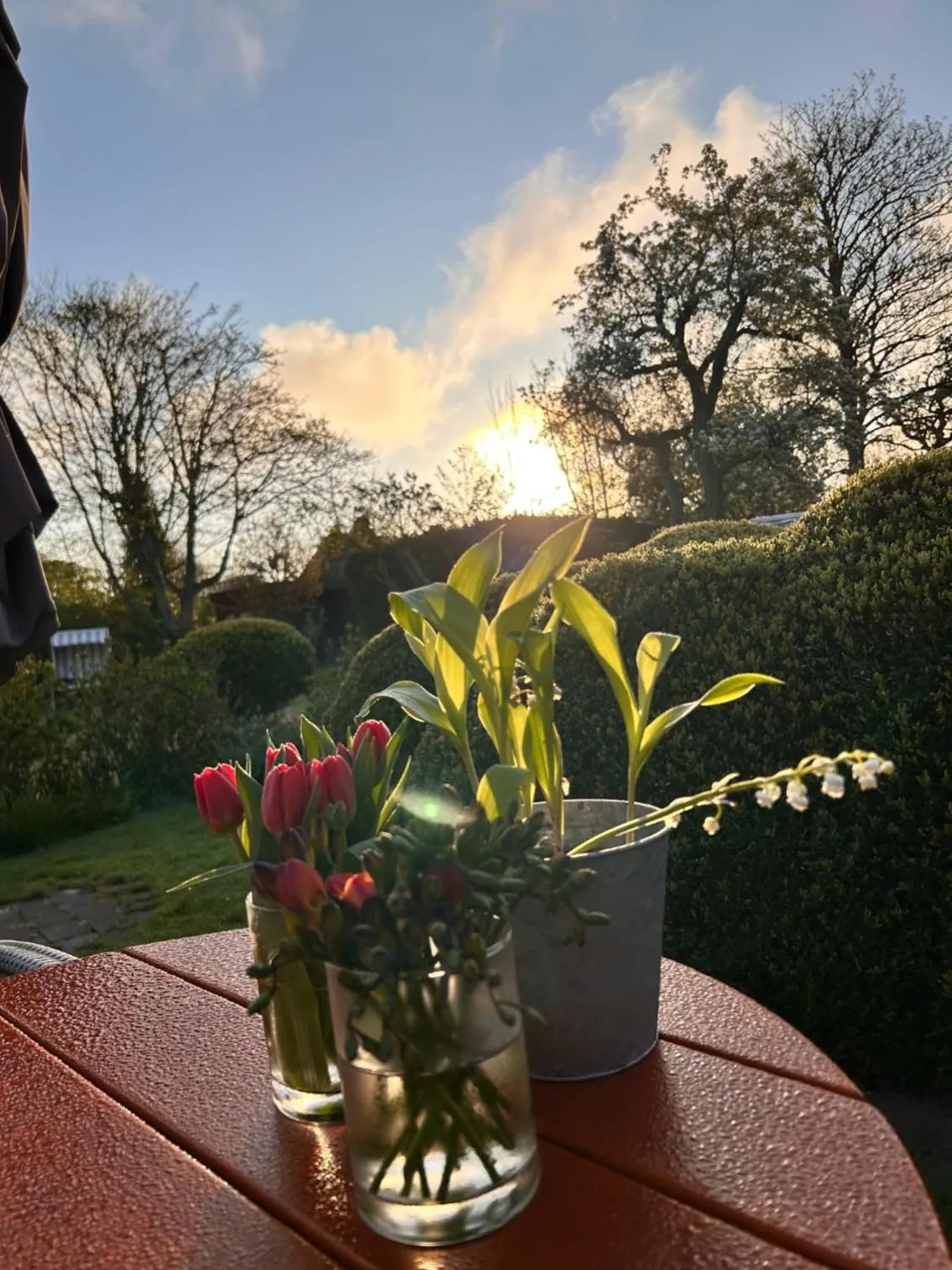 Garden in Boutiquehotel Seiler Hof Keitum