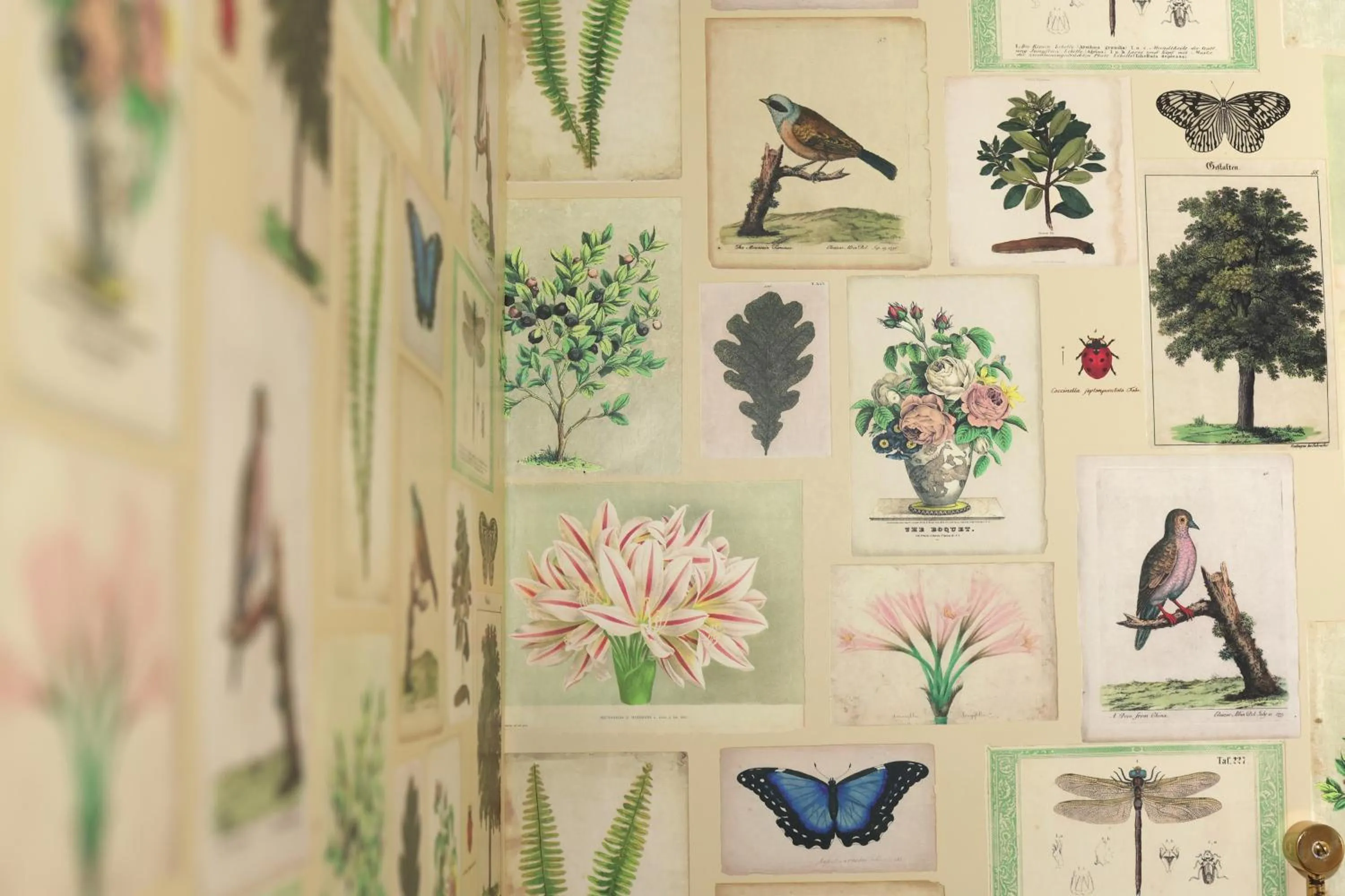 Decorative detail in Boutiquehotel Seiler Hof Keitum