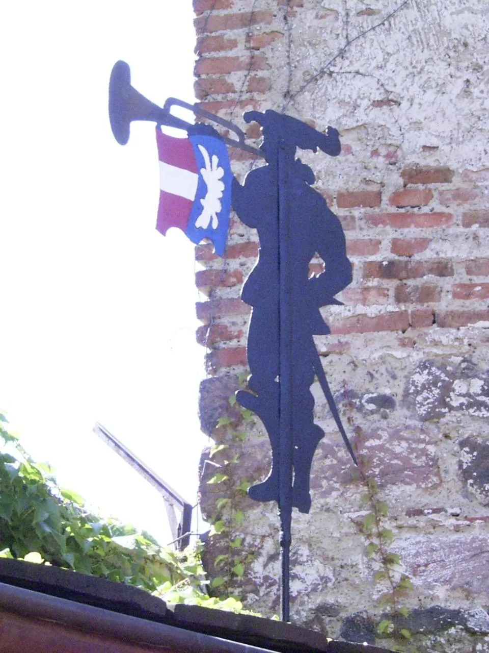 Area and facilities in TIPTOP Hotel Garni Pfauen