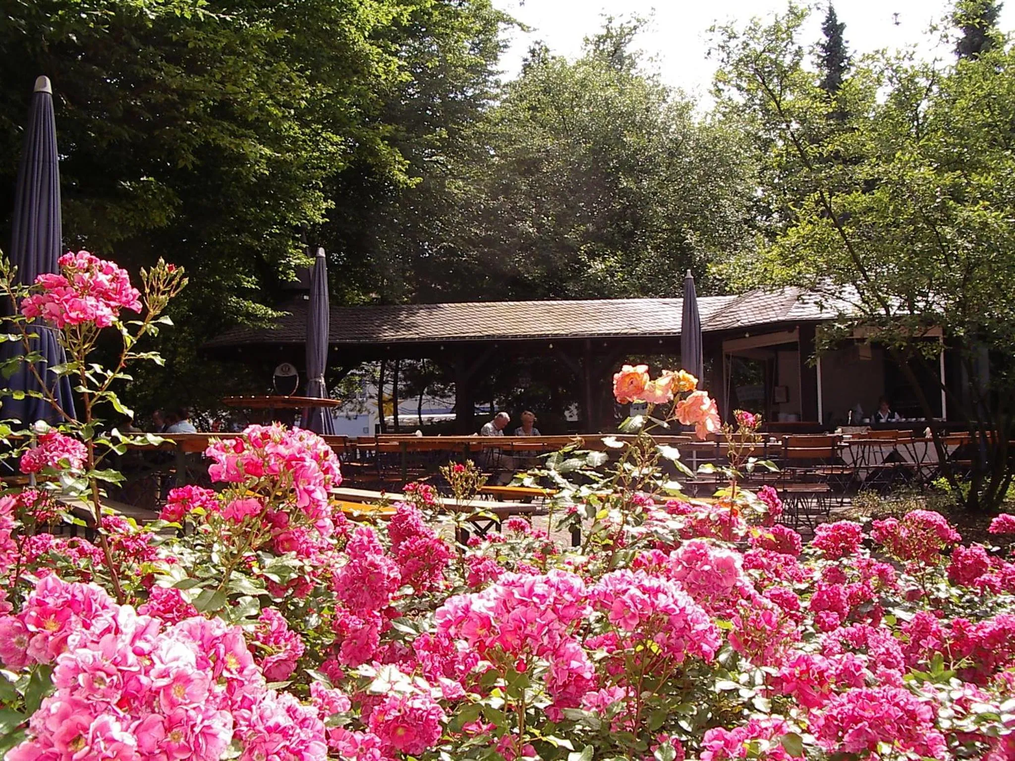 Facade/entrance in Hotel Bitburg