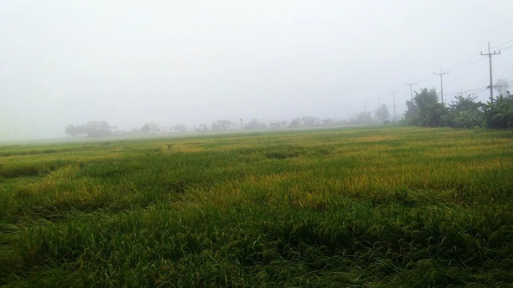 Natural Landscape in Northstar Hotel And Resort