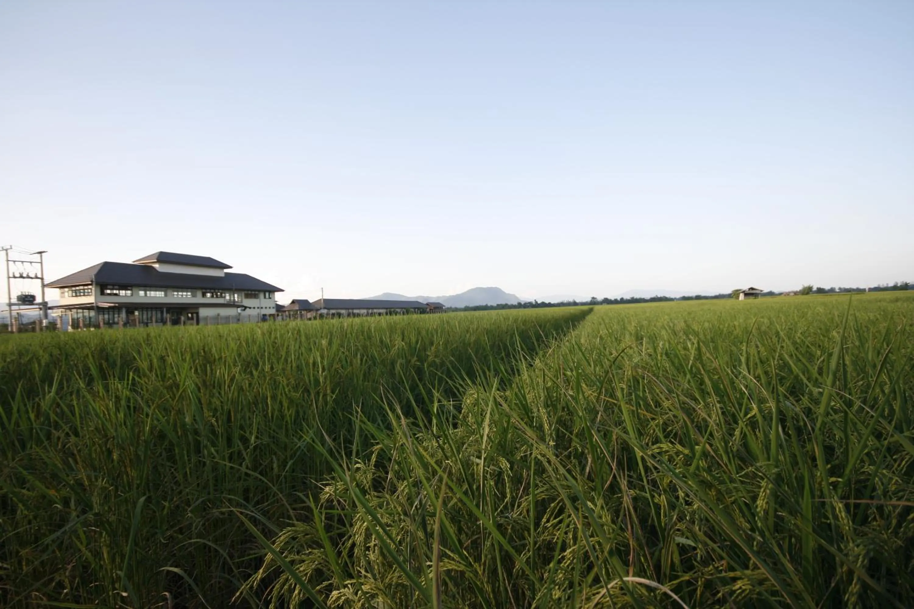 Northstar Hotel And Resort