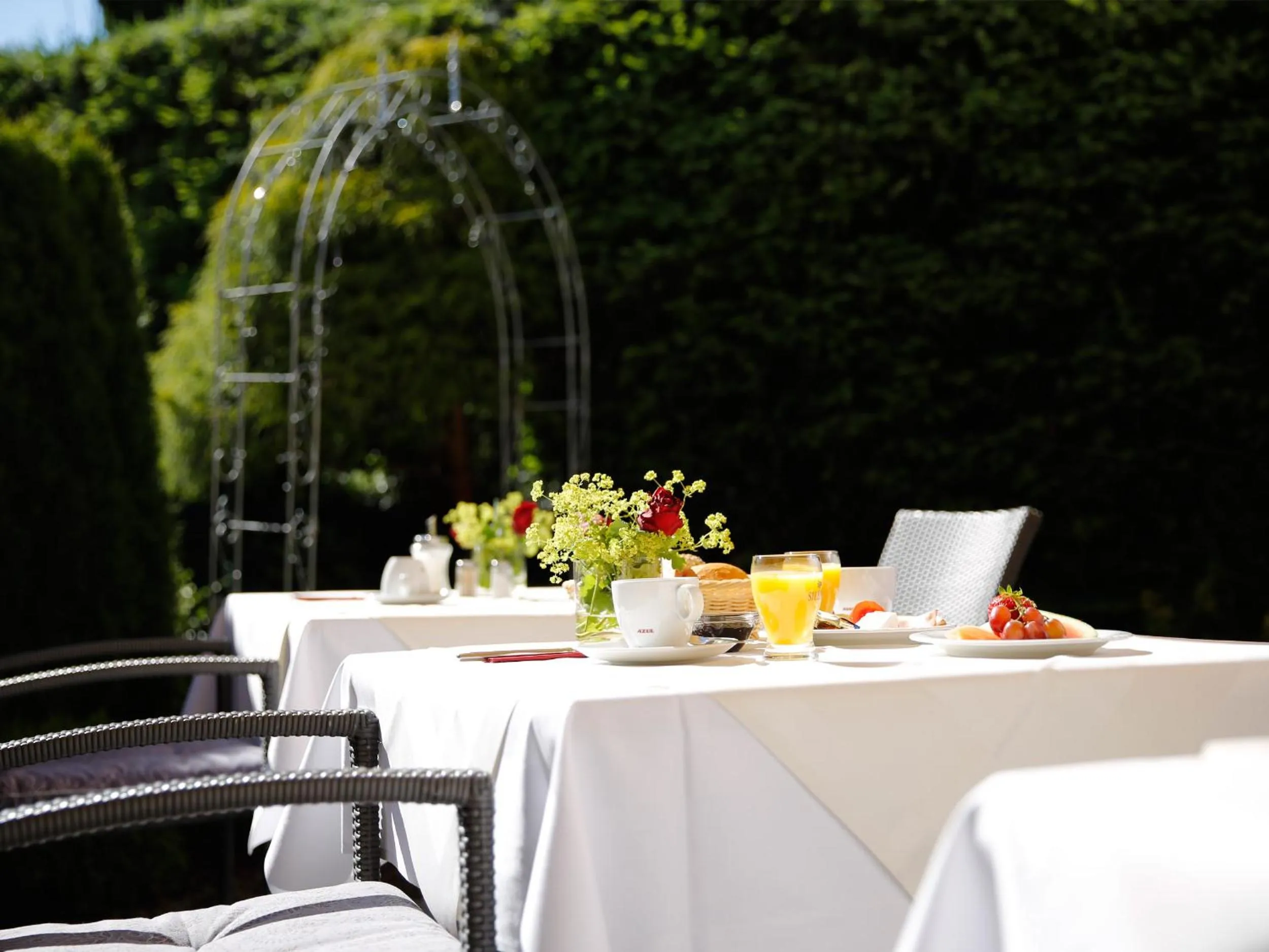 Garden in Landhotel Mohren