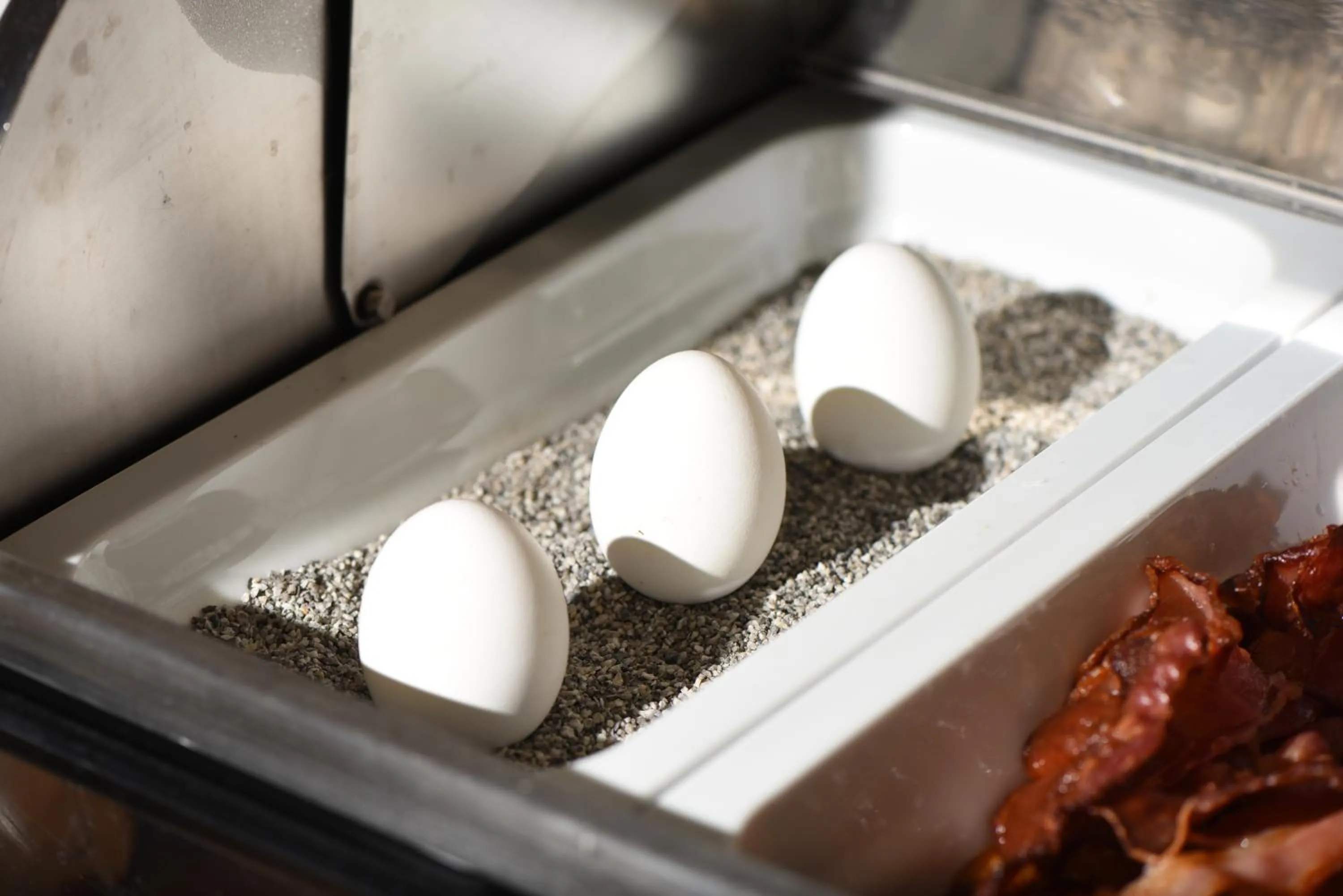 Buffet breakfast in Hotel Casa Colonia