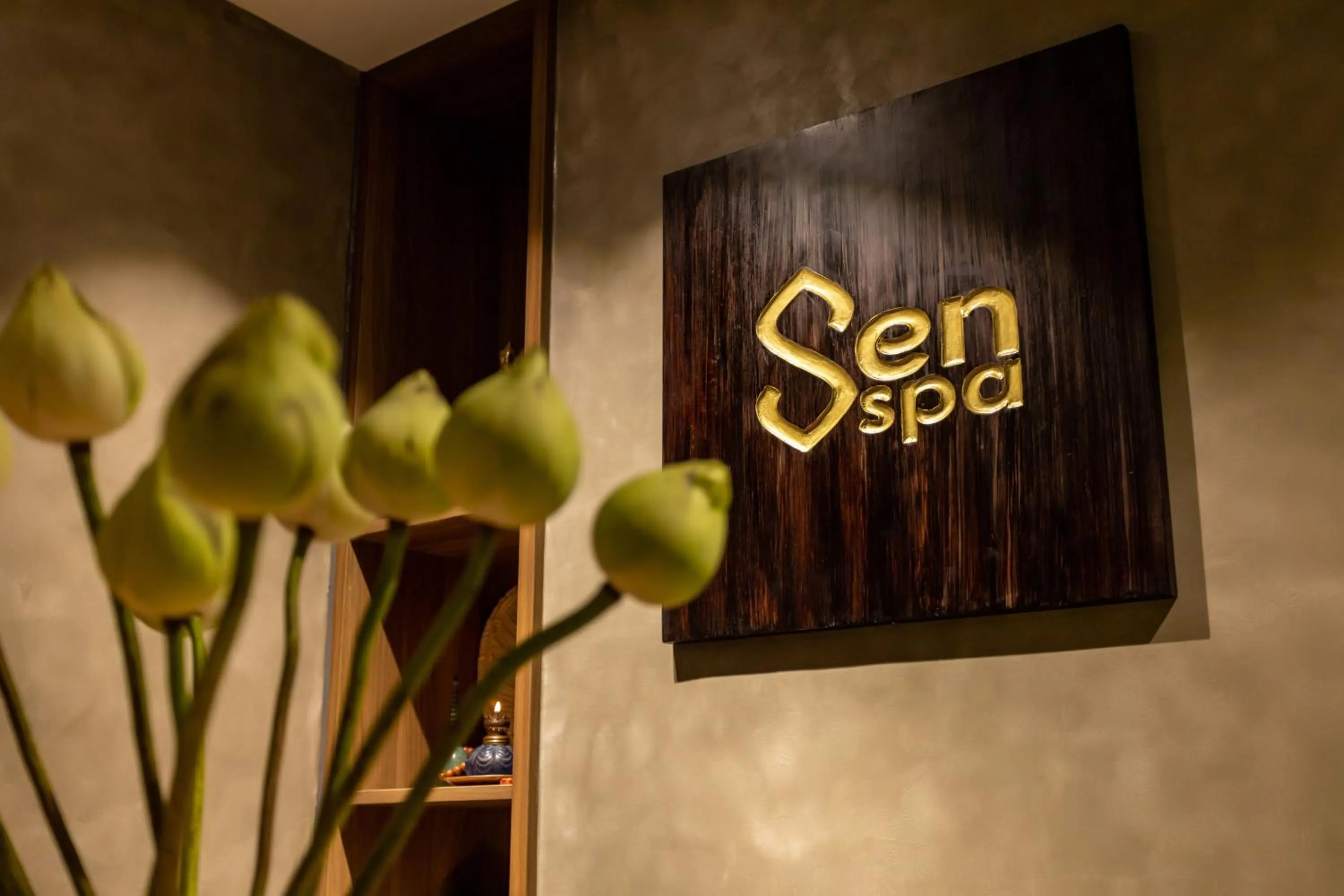 Spa and wellness centre/facilities in White Lotus Hue Hotel