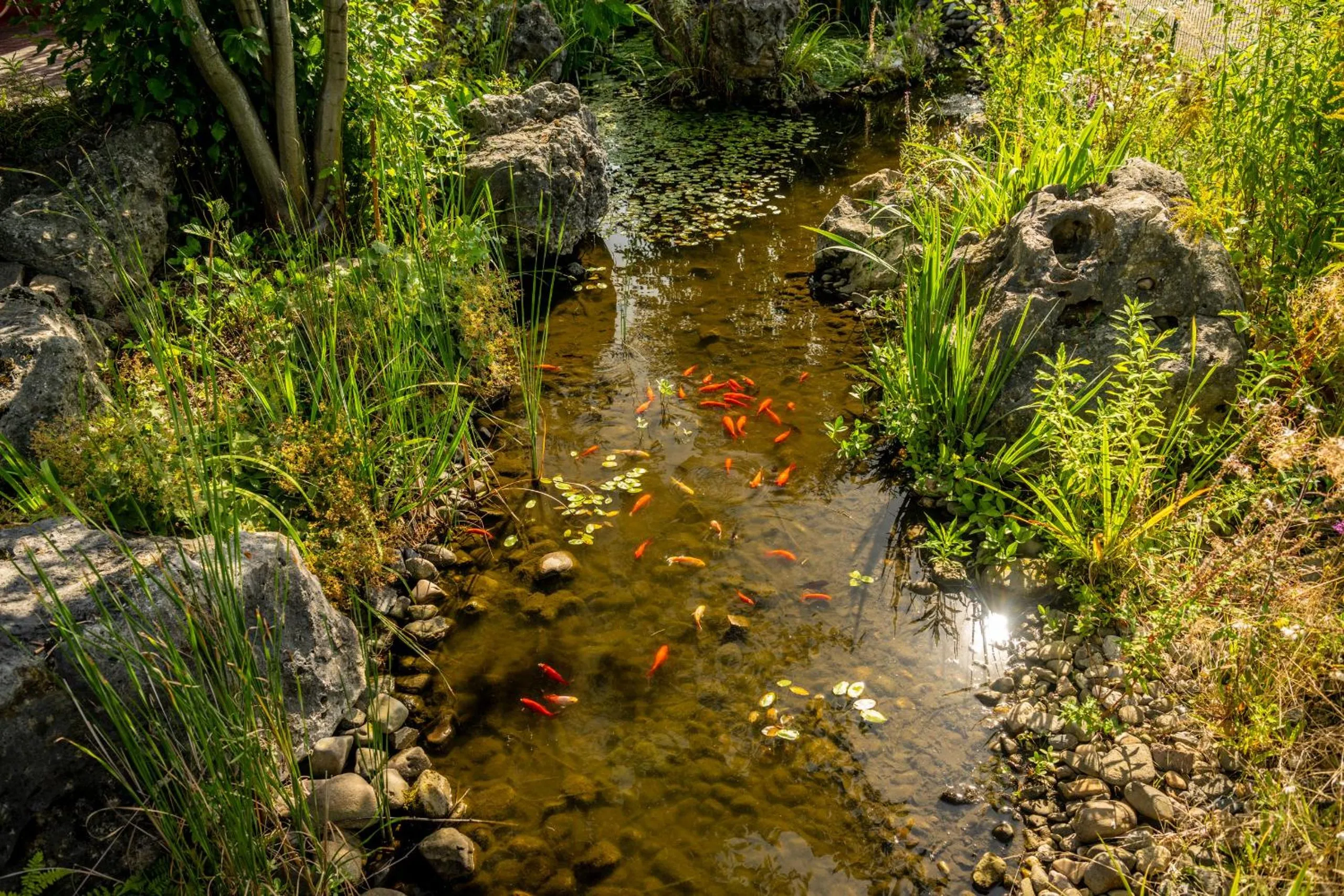 Area and facilities in Dresdner Tor Süd