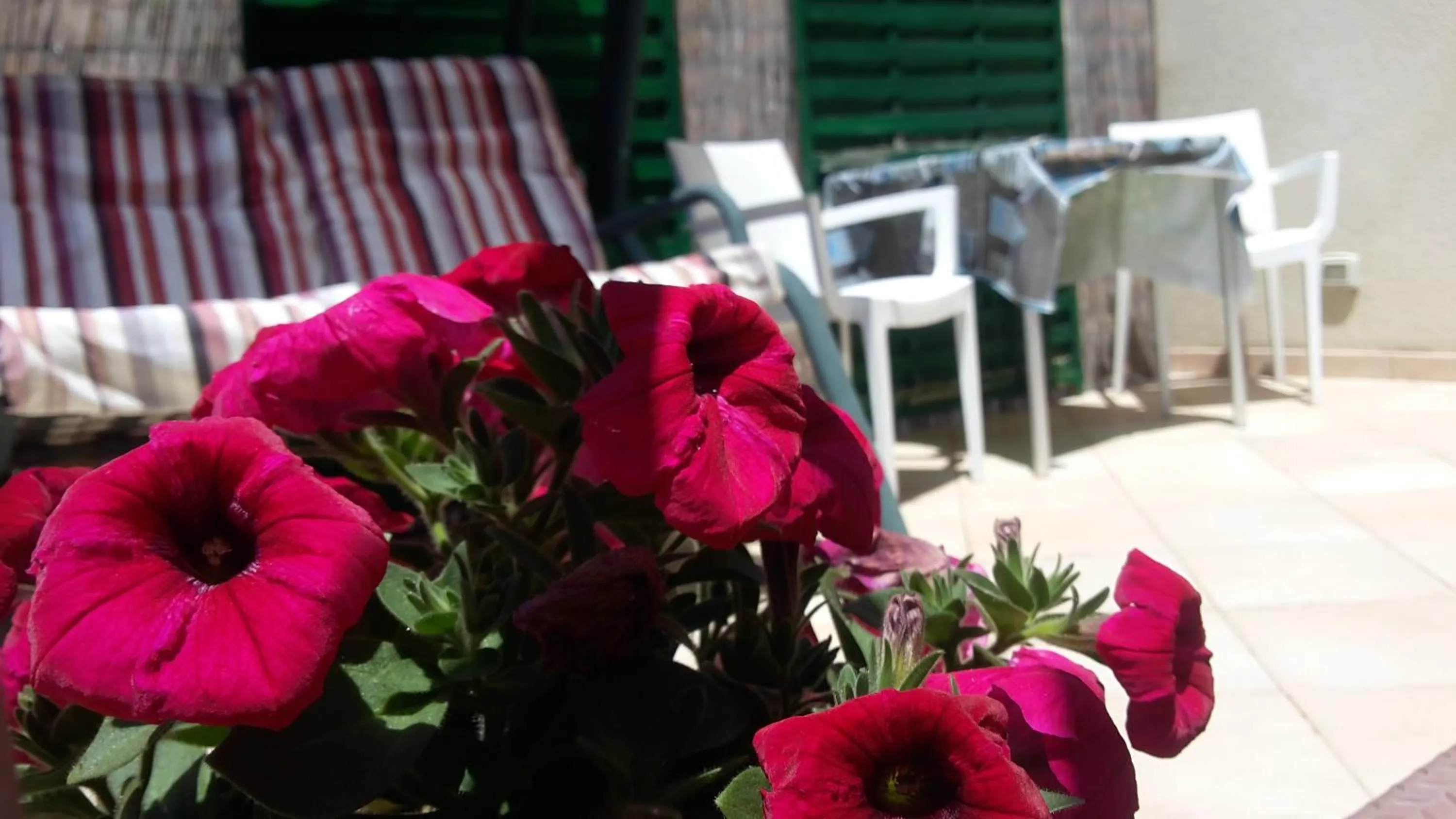 Balcony/Terrace in Sogni D'Oro