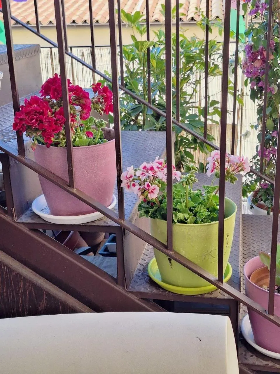 Balcony/Terrace in Sogni D'Oro