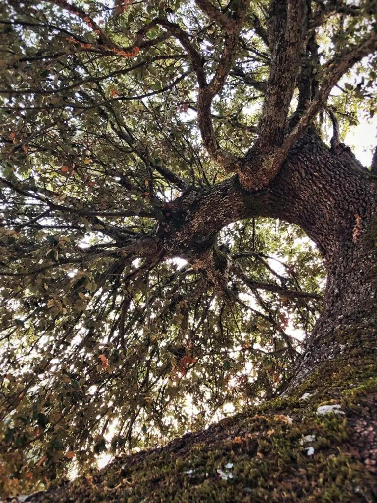 Orgosolo B&B Sardegna