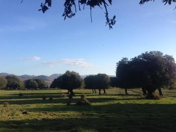 Orgosolo B&B Sardegna