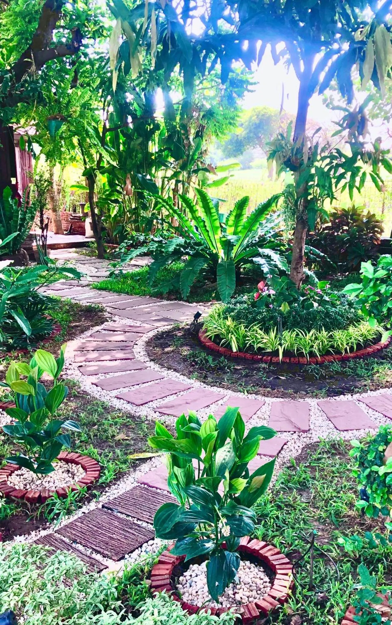 Restaurant/places to eat in Baan Lhang Wangh บ้านหลังวัง