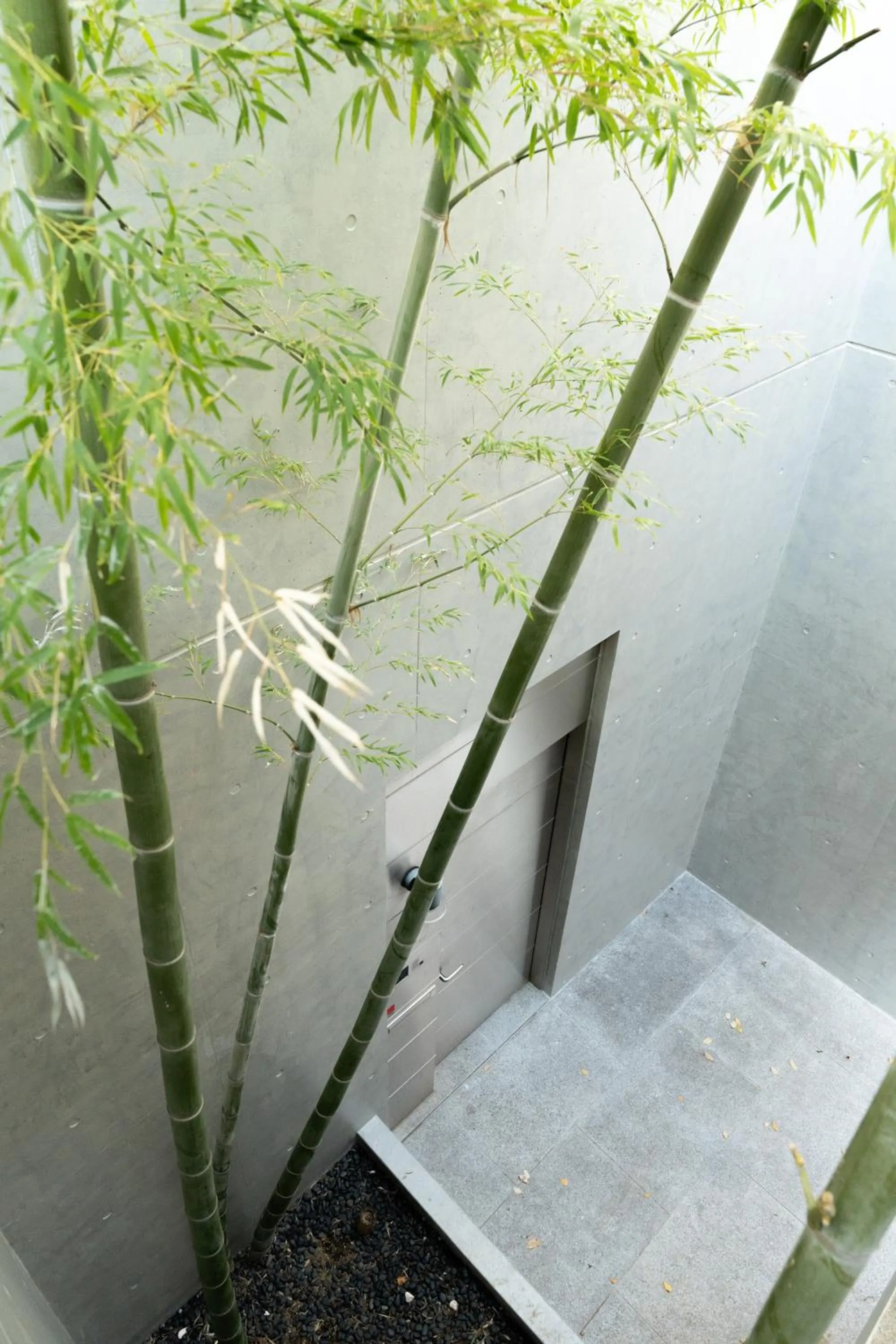 Azabu Modern House The Tokyo Tower can be seen from the villa 500m2