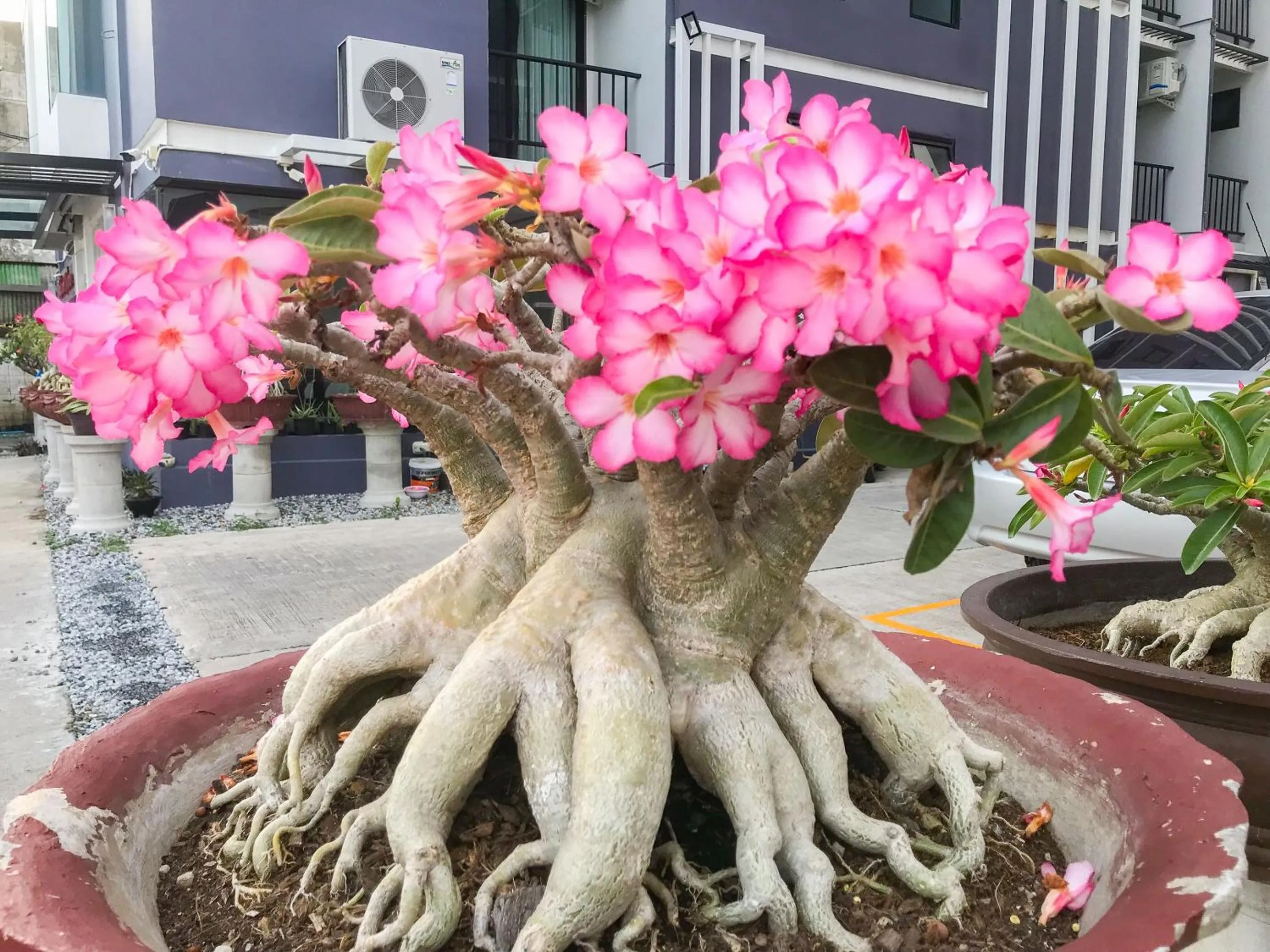 Area and facilities in Delighted Bangkok Hotel