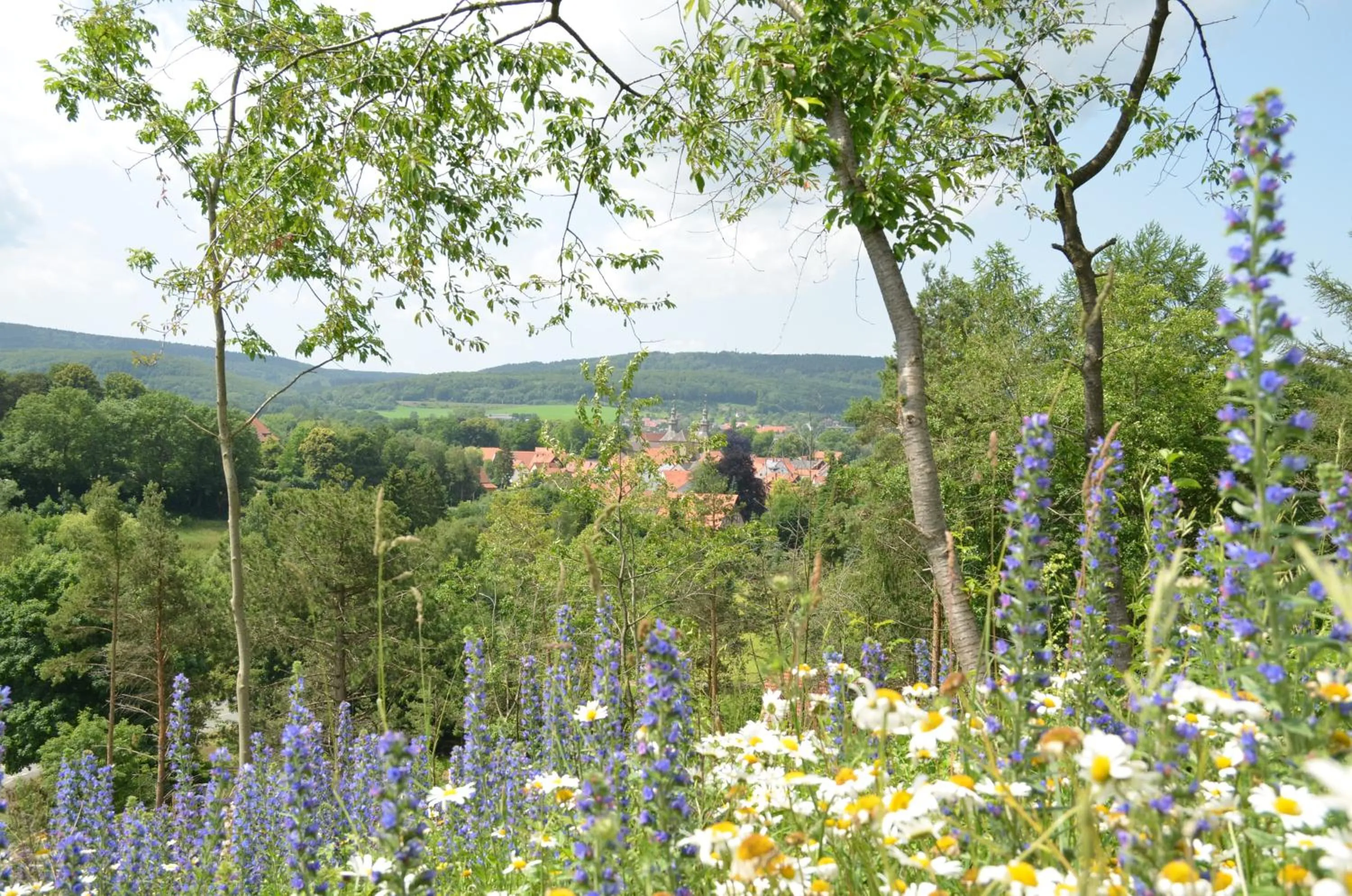 Off site in Wohlfühlhotel DER JÄGERHOF