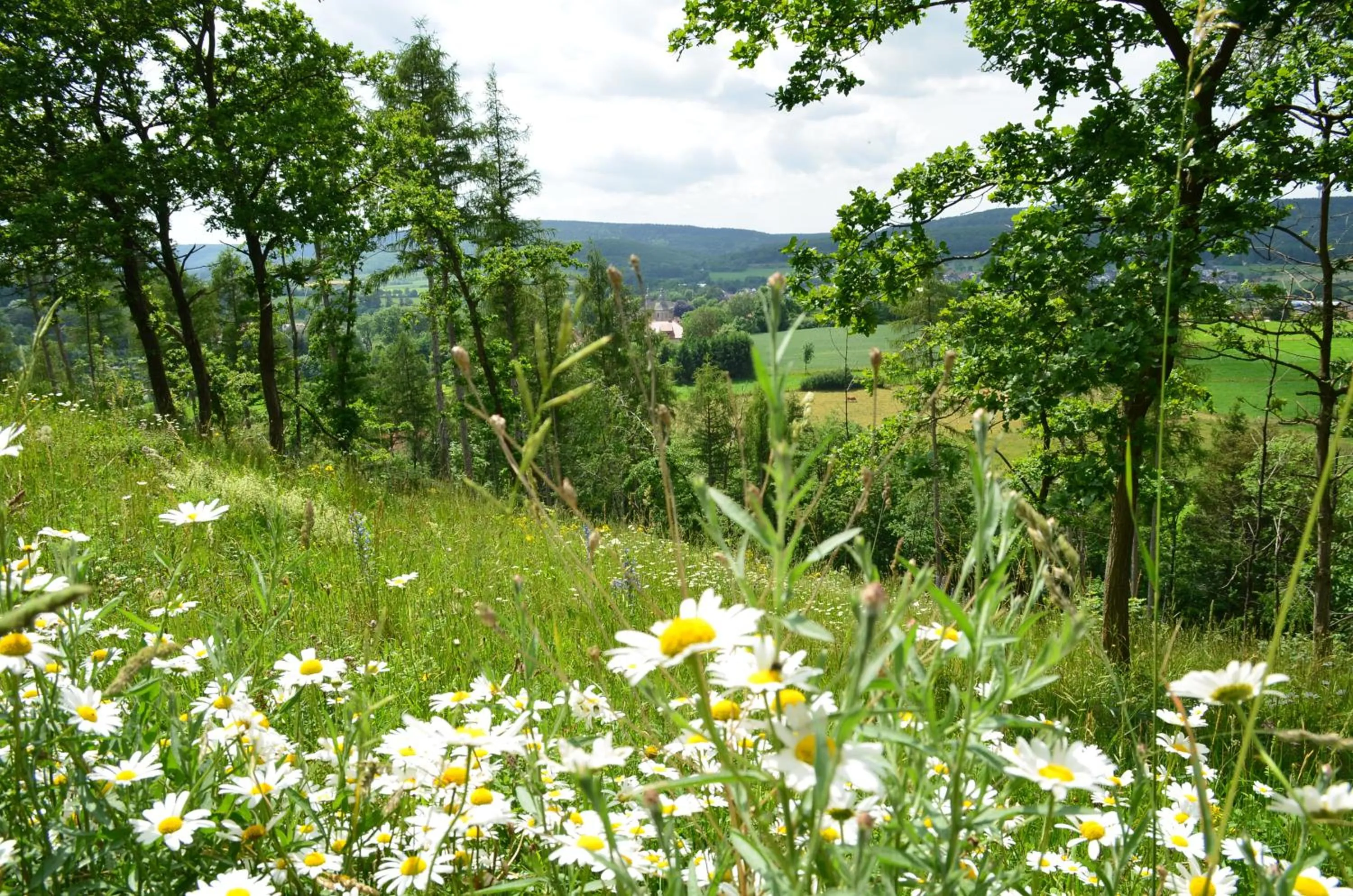 Off site in Wohlfühlhotel DER JÄGERHOF