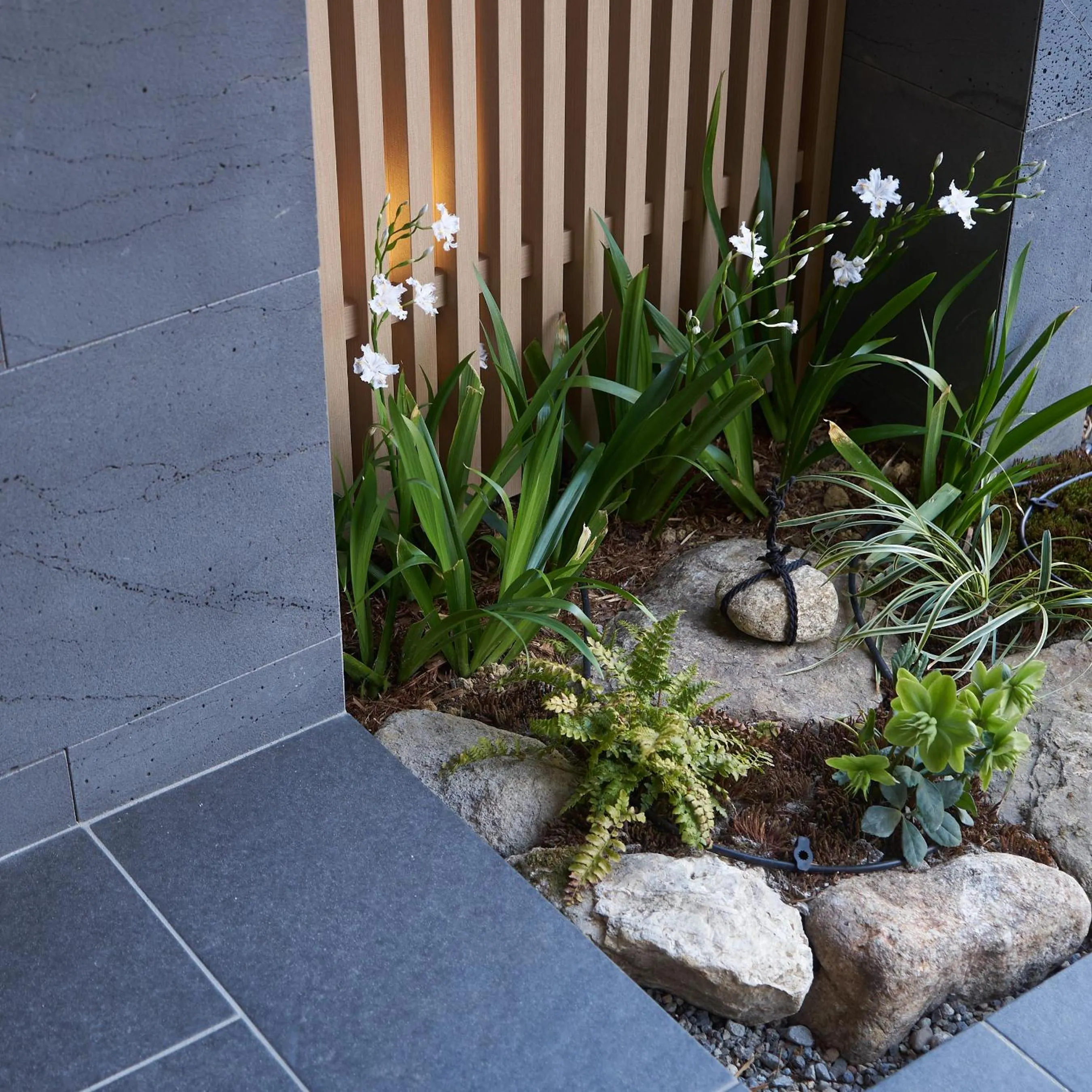 Garden in 凜庵 LIAN_KANAZAWA