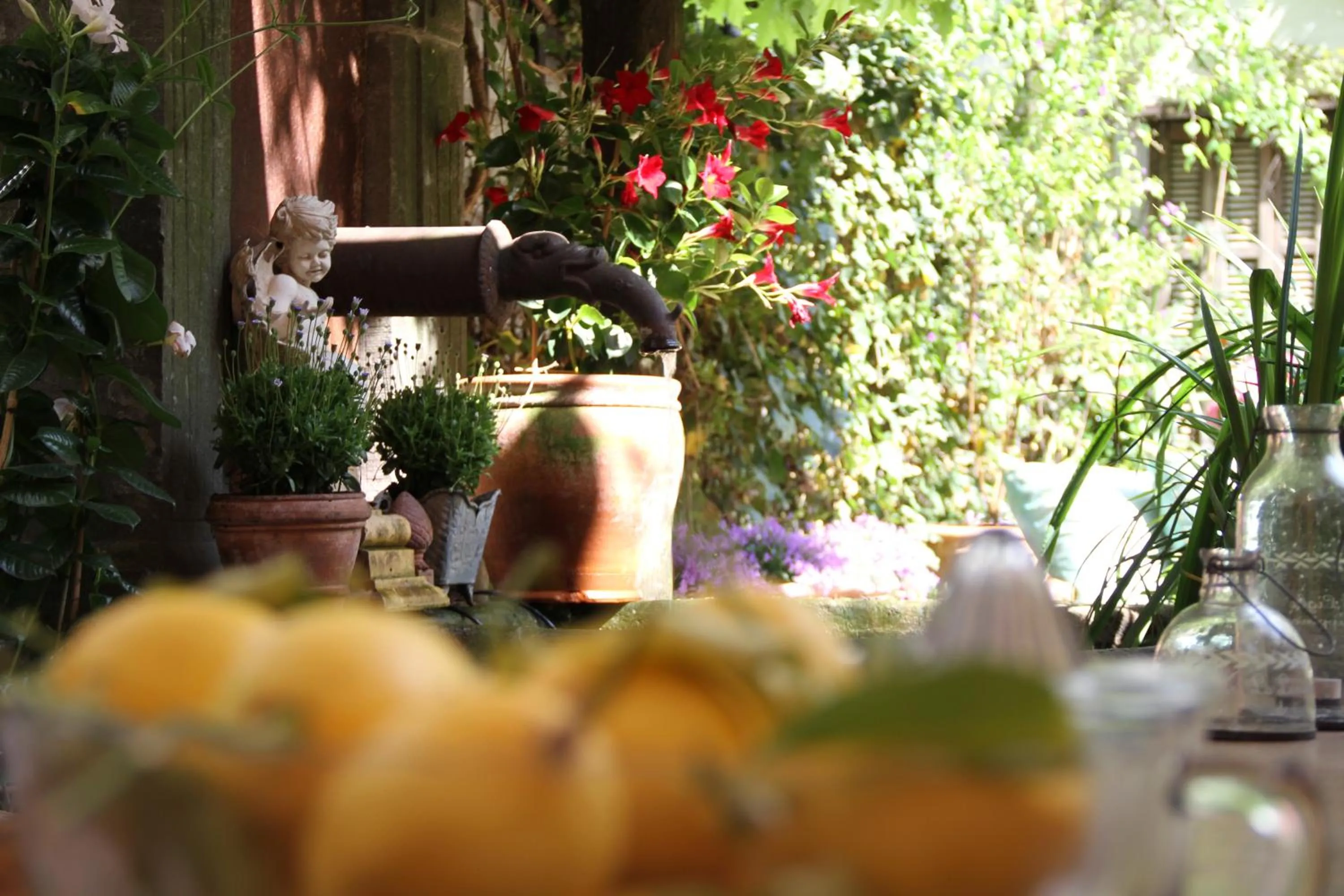 Patio in ackselhaus & blue Home