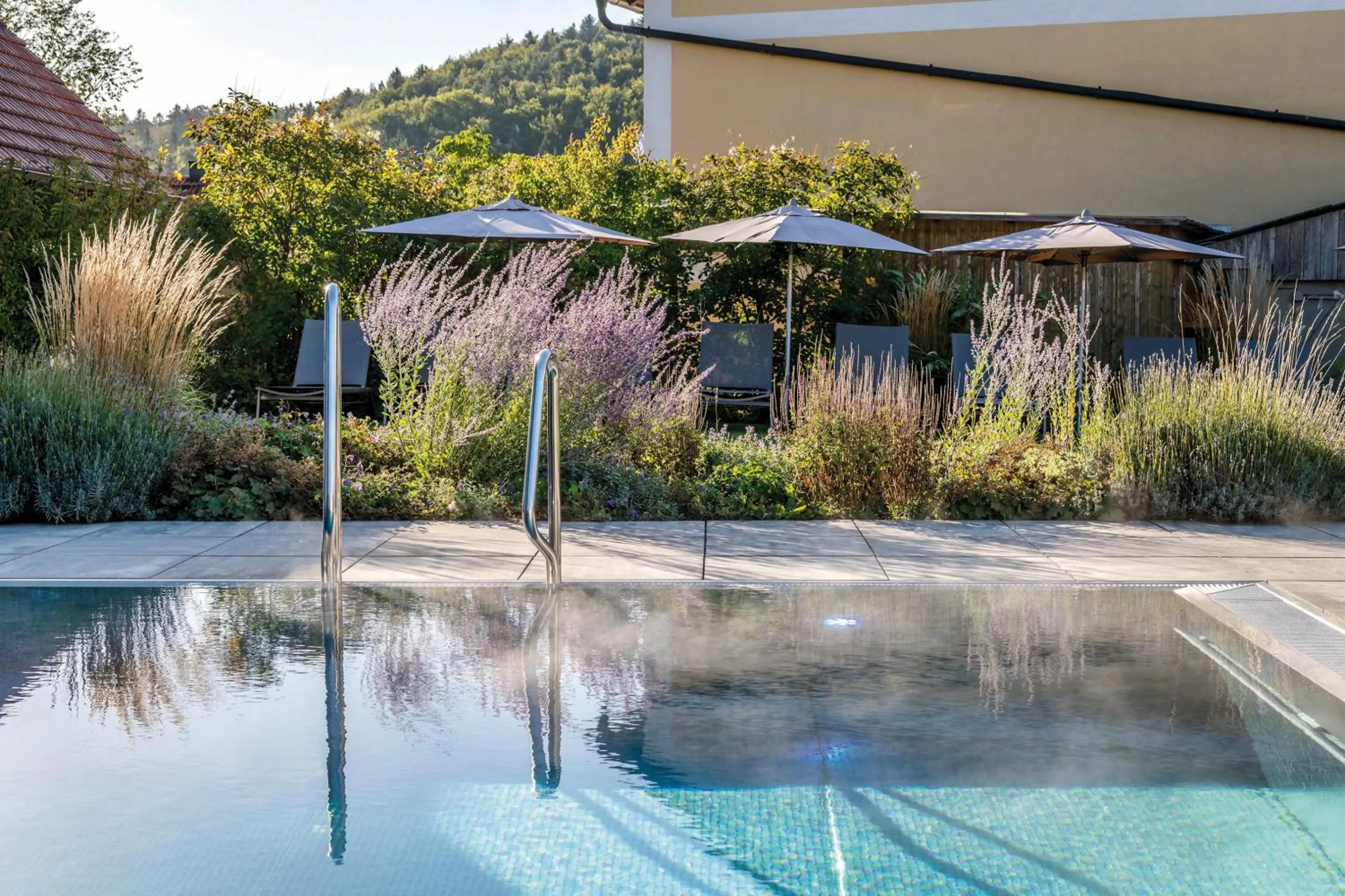 Swimming pool in Landhotel Weißes Roß