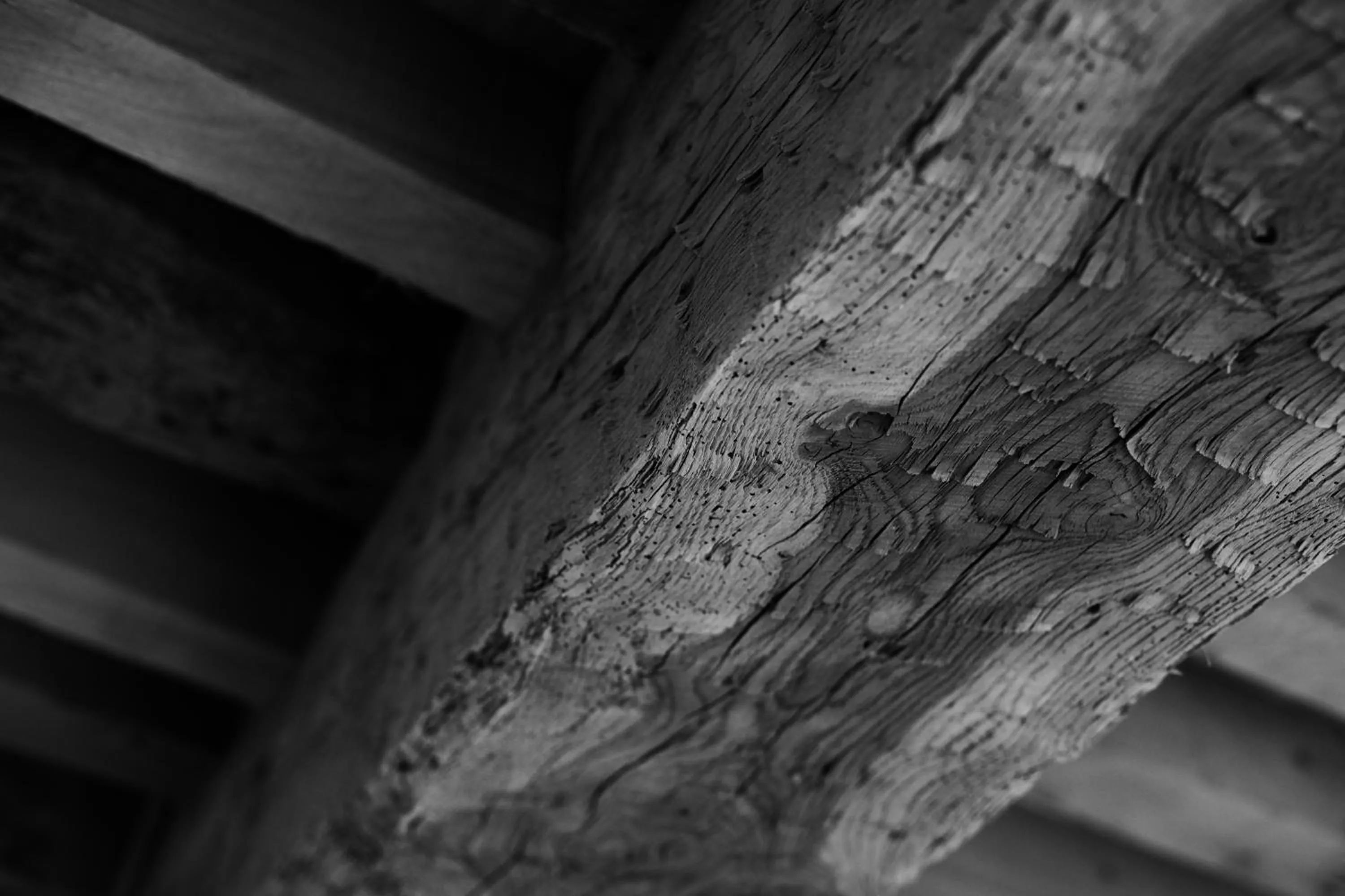 Property building in Nonam Boutique Hotel Gent