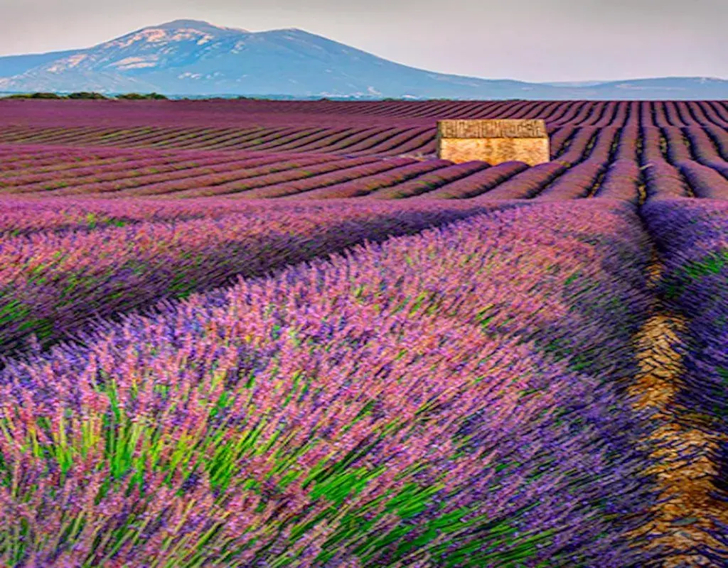 Suite with Mountain View - single occupancy in Six chandelles m'étaient comptées Suite with Mountain View - single occupancy in Six chandelles m'étaient comptées