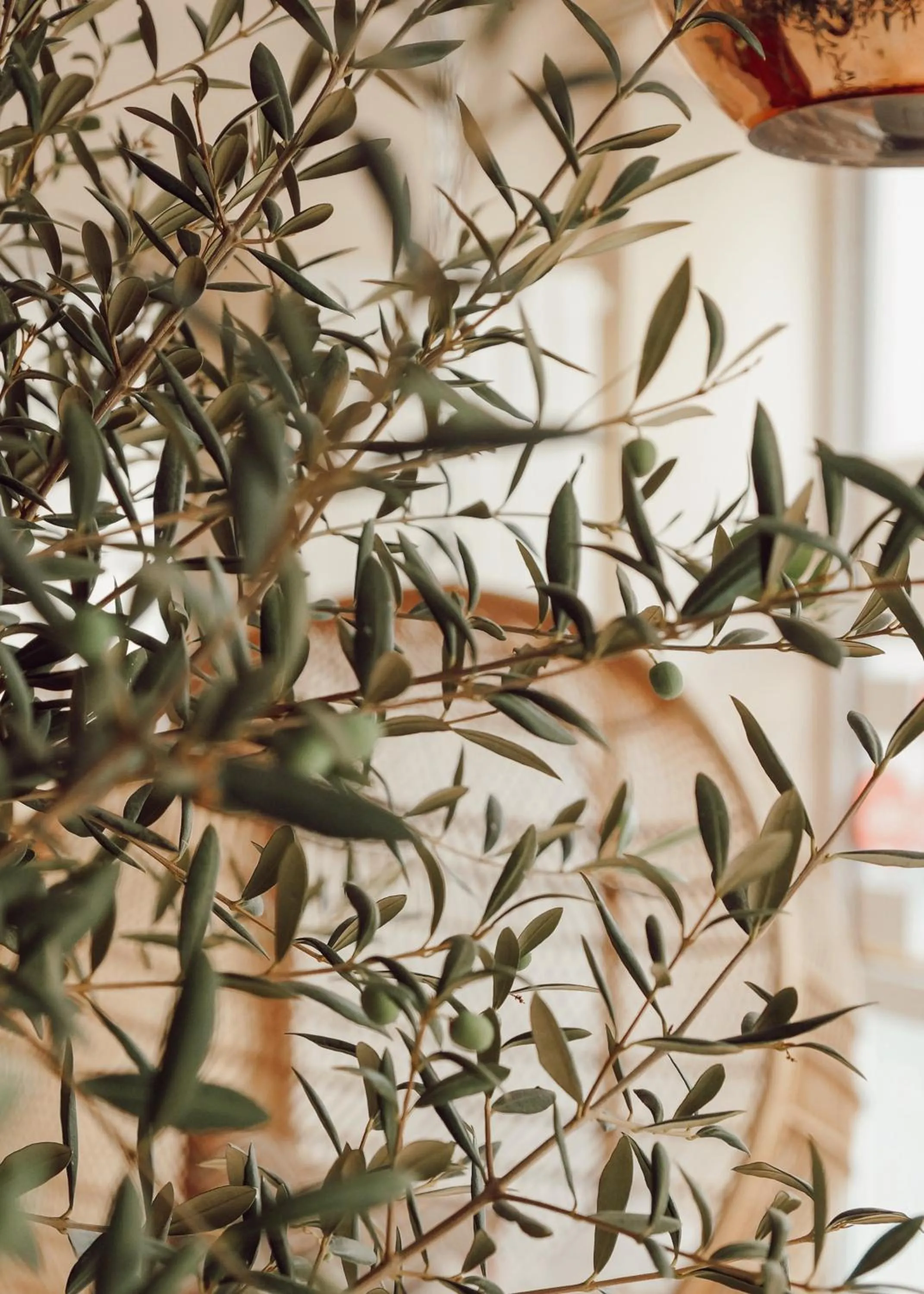 Decorative detail in Town Hotel Wiesbaden - kleines Privathotel in Bestlage