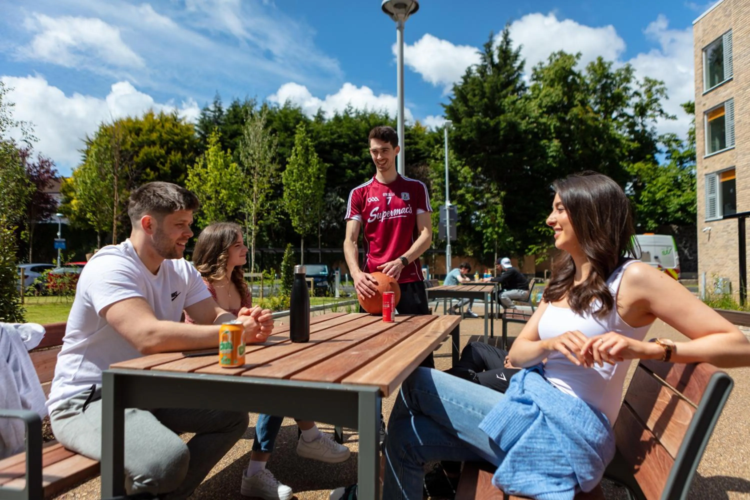 Garden in The Westwood Summer Accommodation