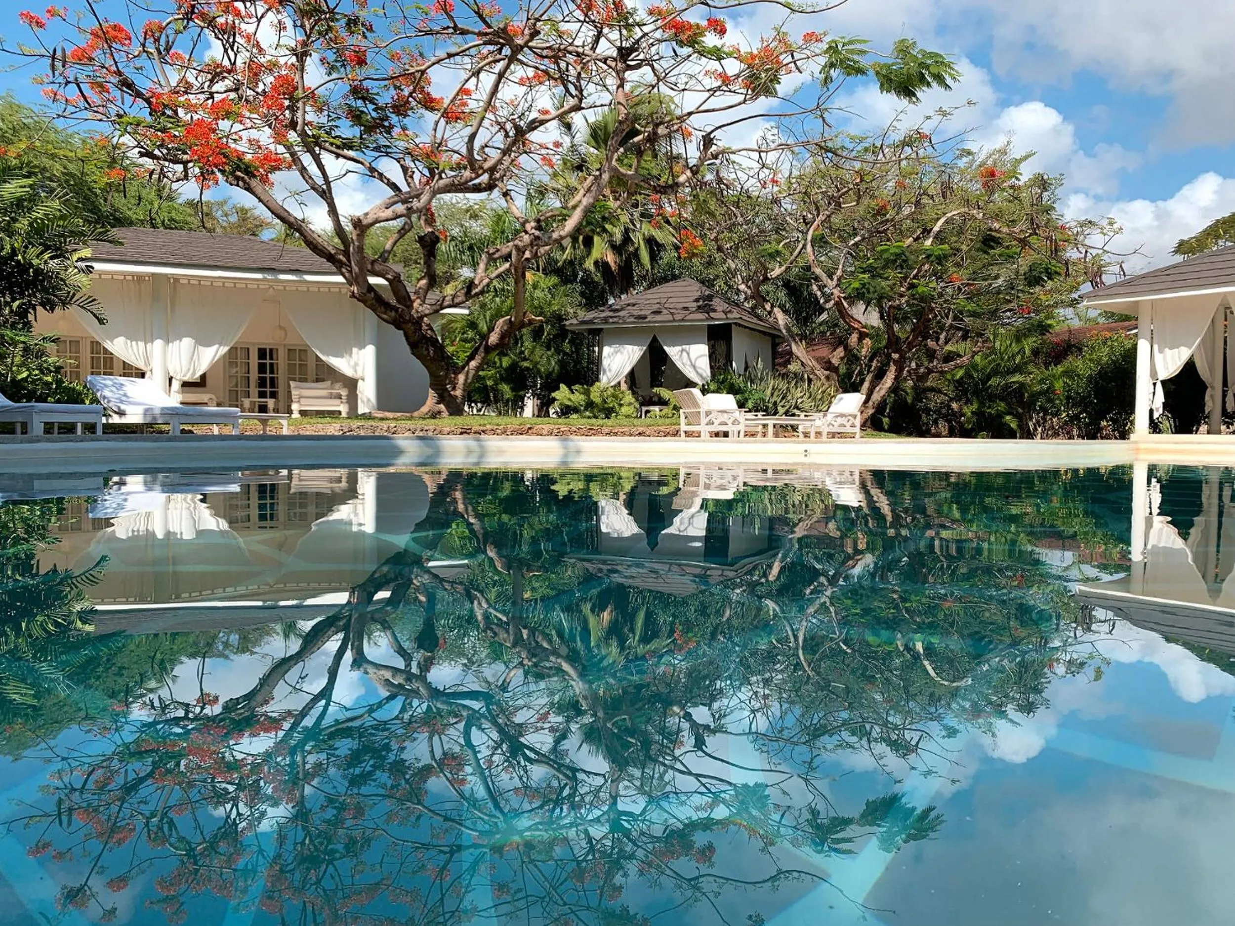 Garden in Nyumba Ya Mbuyu