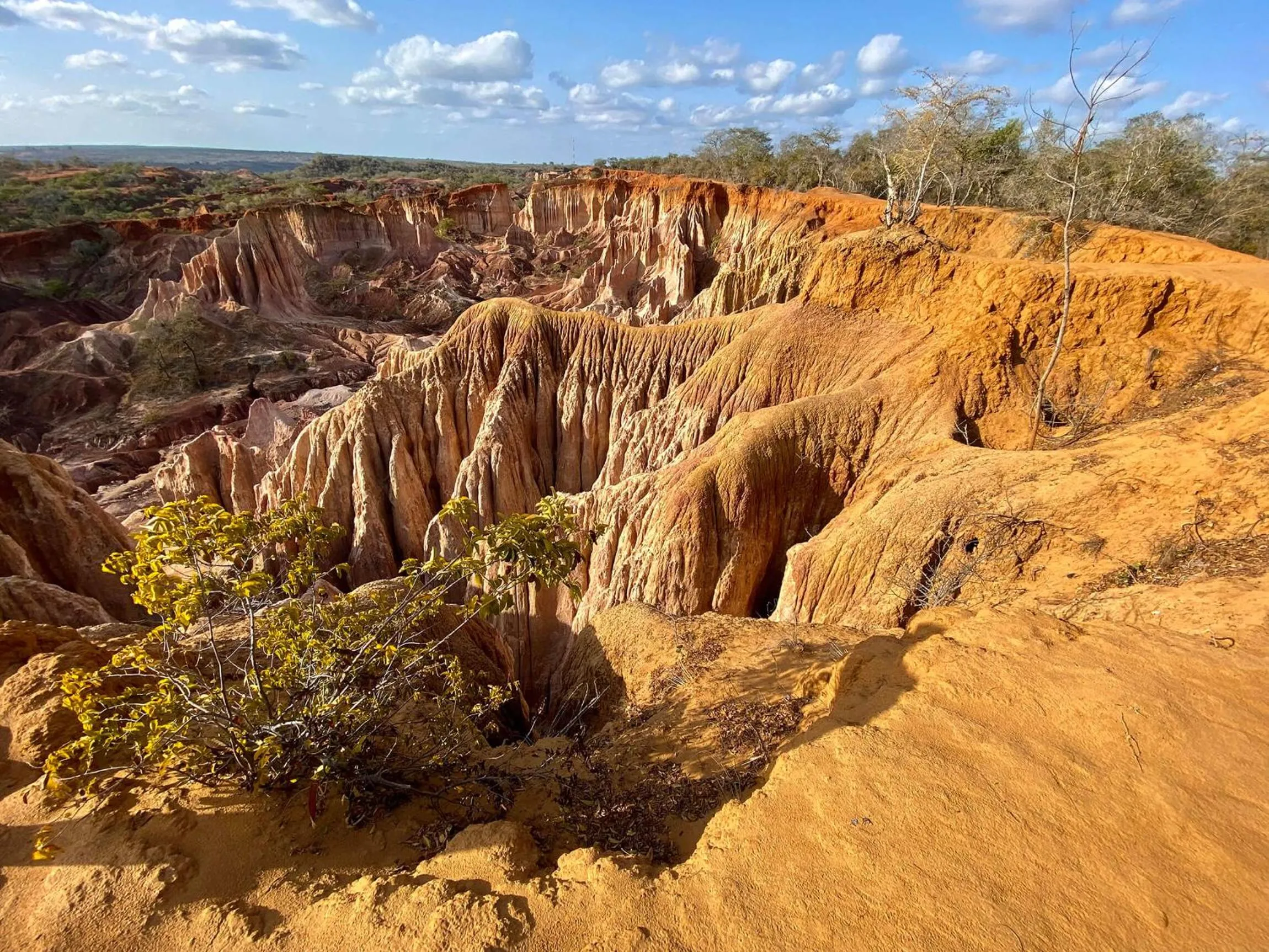 Activities in Nyumba Ya Mbuyu