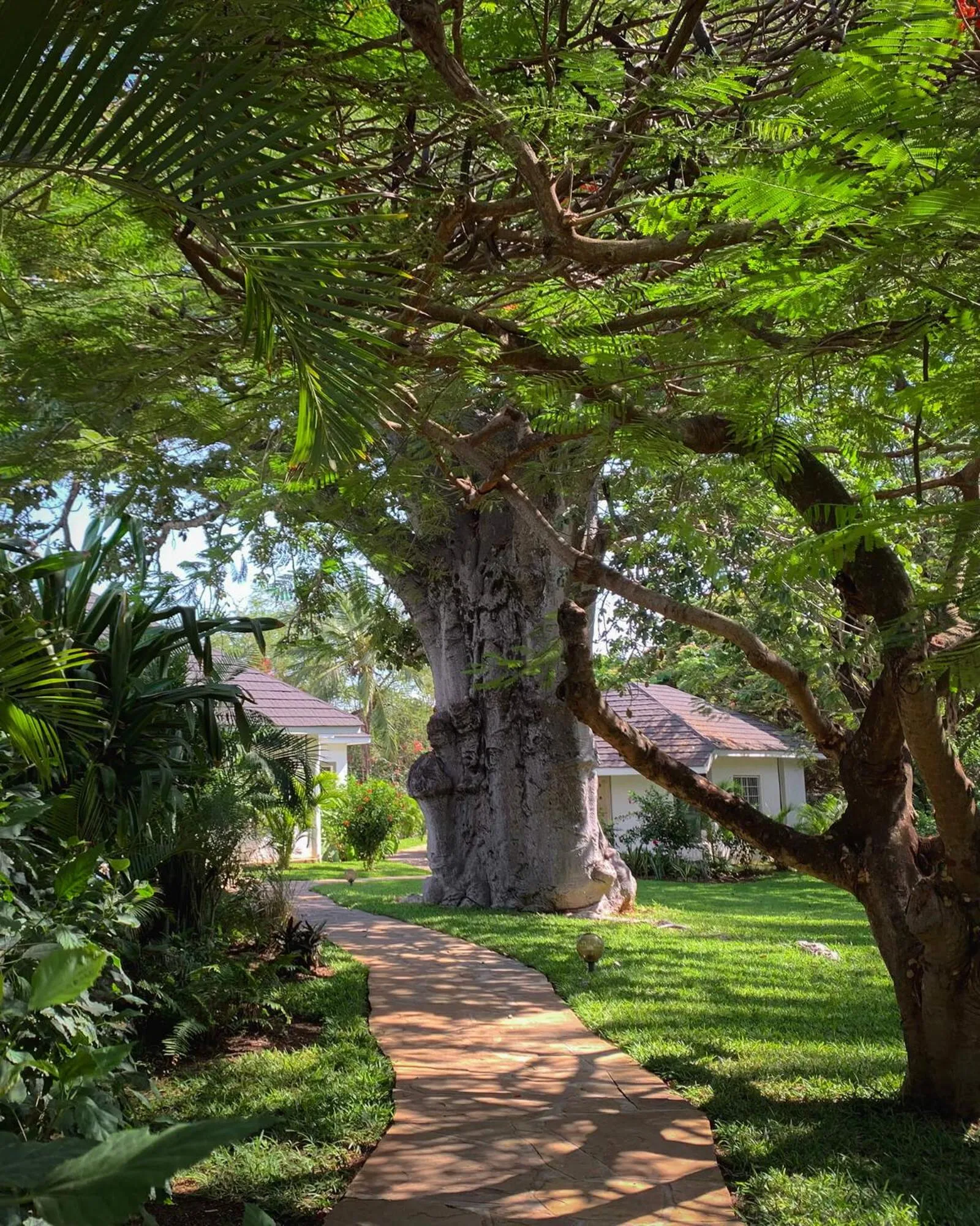 Garden in Nyumba Ya Mbuyu