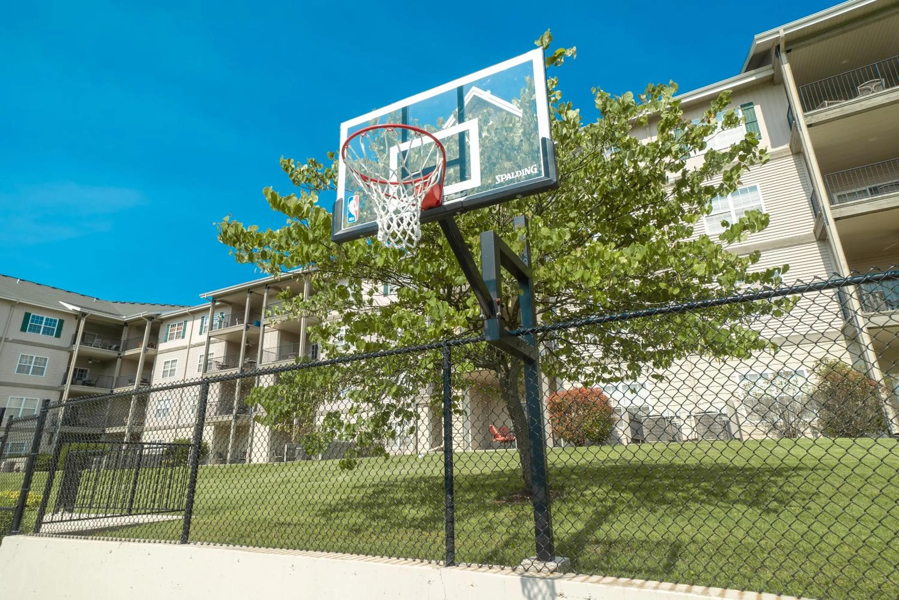 Activities in Reunion Lodges at Thousand Hills