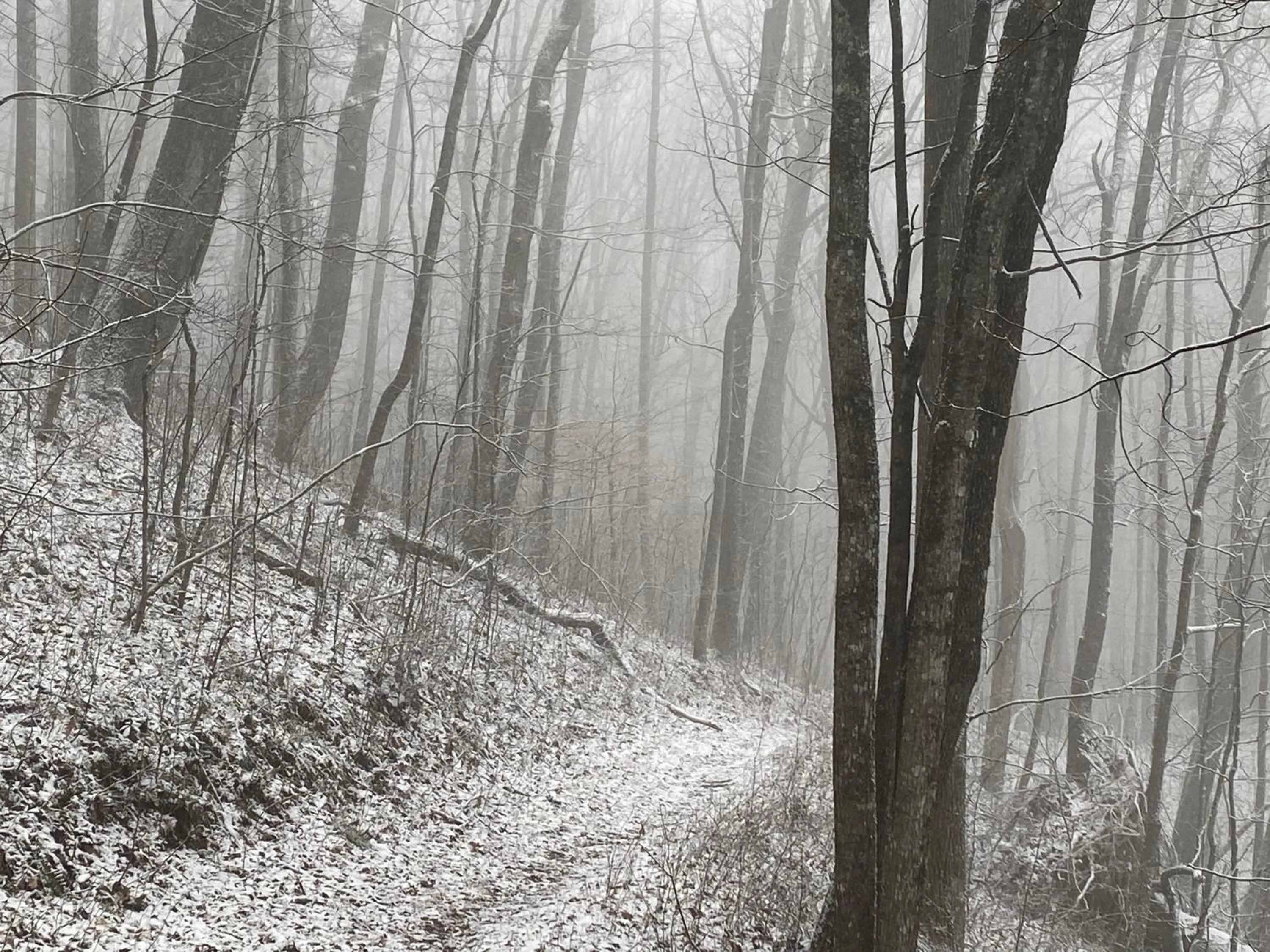 Property building in Pine Mountain Inn