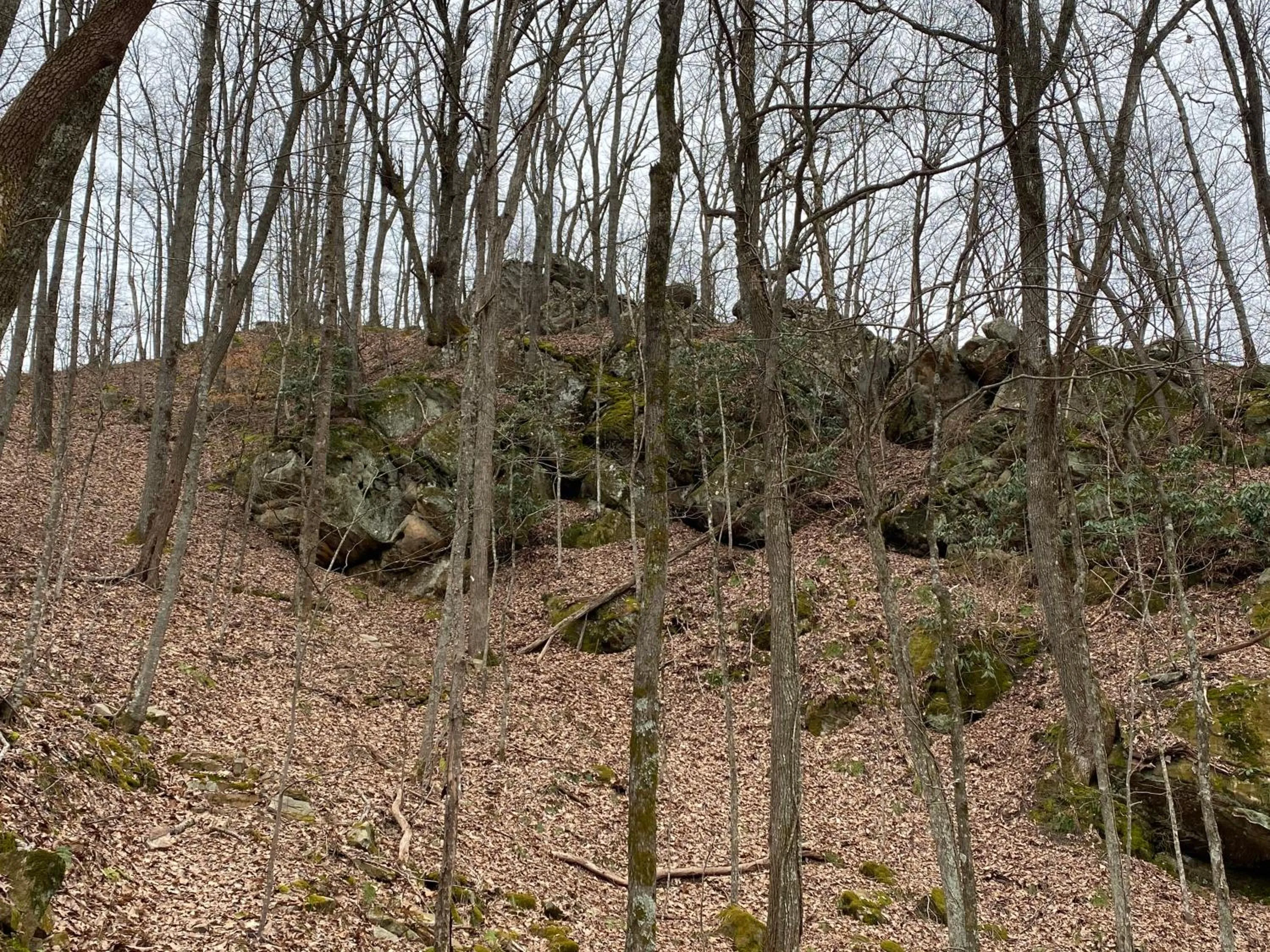 Property building in Pine Mountain Inn