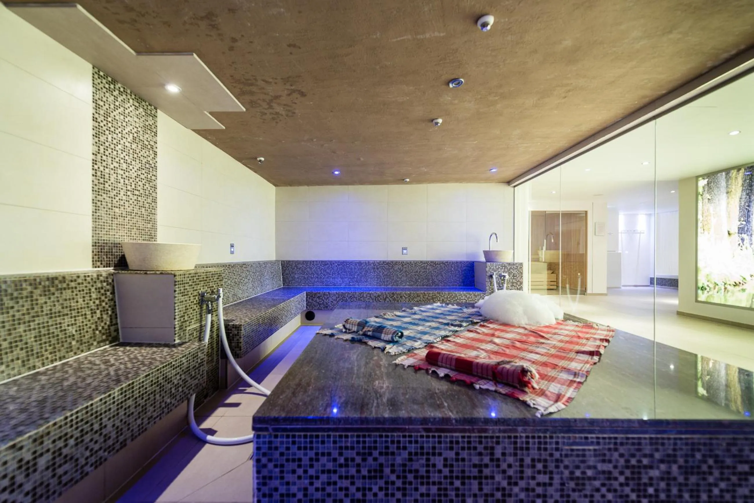 Steam room in Landhotel Burg im Spreewald - Resort & Spa